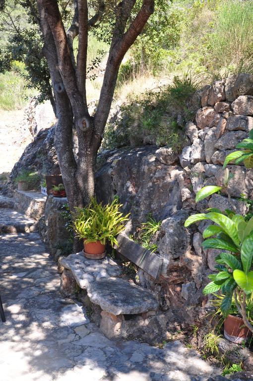 Villa Sa Capsana
