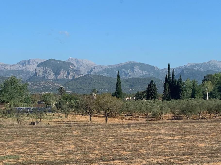 Stunning Country With Panoramic Mountain Views * Biniali (Majorca)