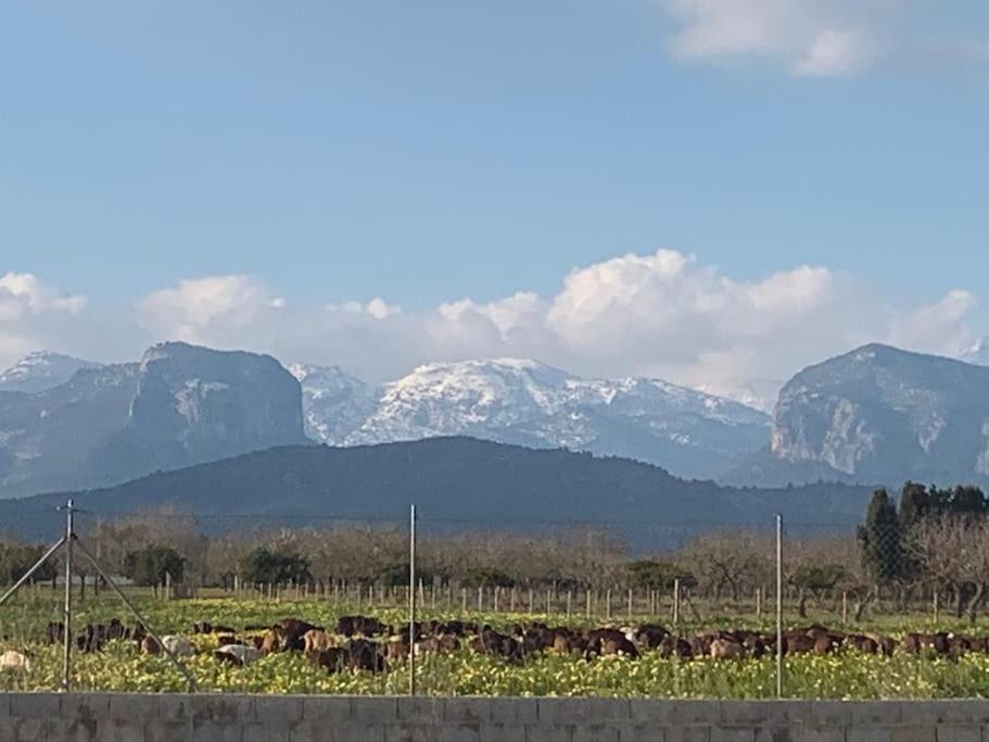 Stunning Country With Panoramic Mountain Views Villa