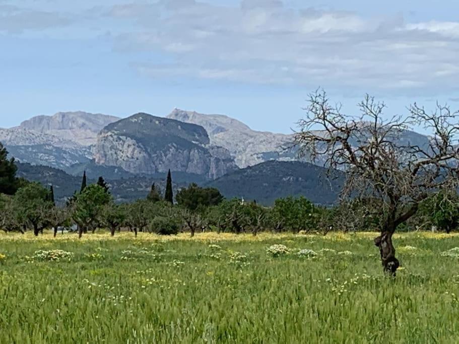 Stunning Country With Panoramic Mountain Views