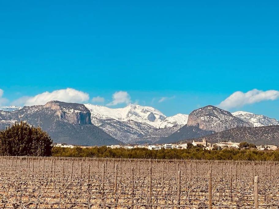 Villa Stunning Country With Panoramic Mountain Views Biniali (Majorca)