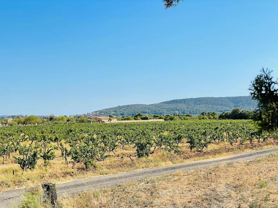 Stunning Country With Panoramic Mountain Views *