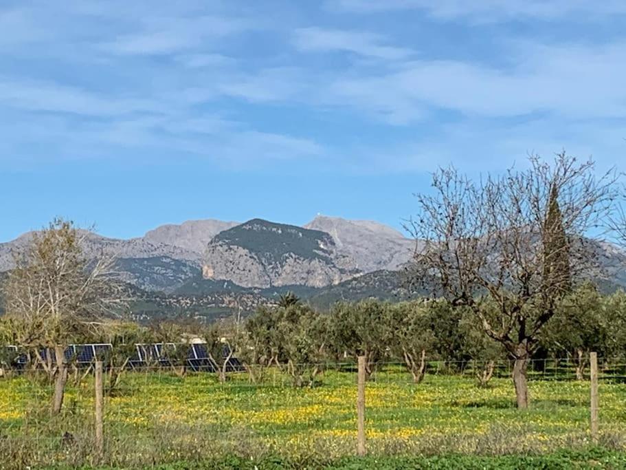 Stunning Country With Panoramic Mountain Views Biniali (Majorca)