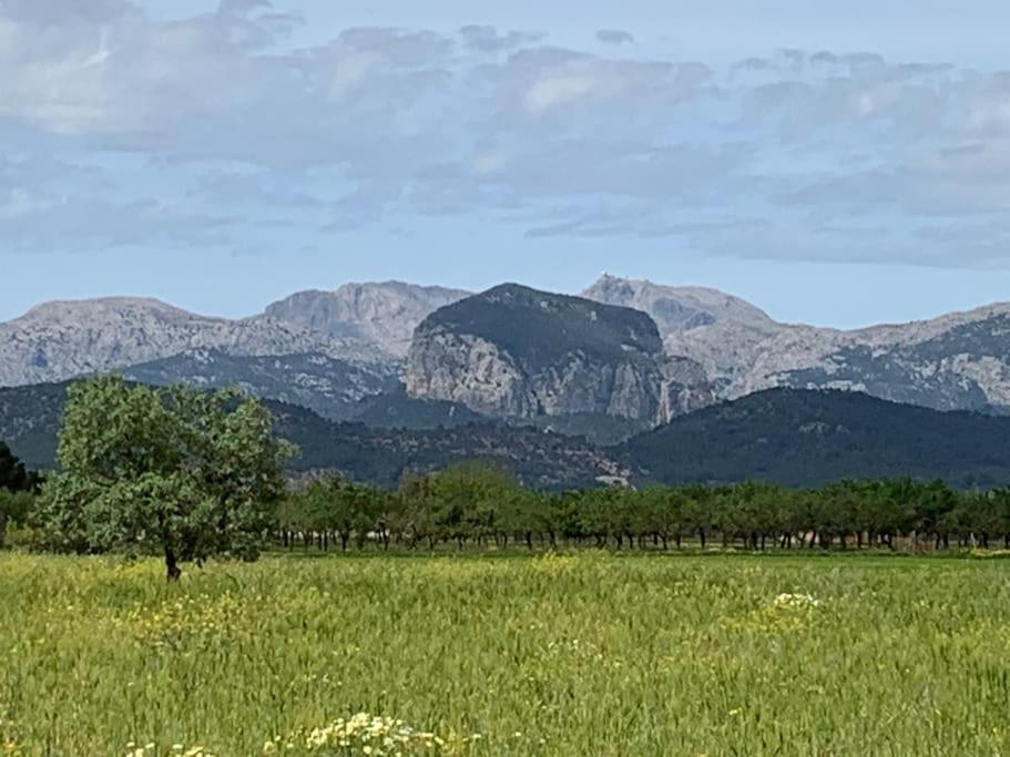Villa Stunning Country With Panoramic Mountain Views