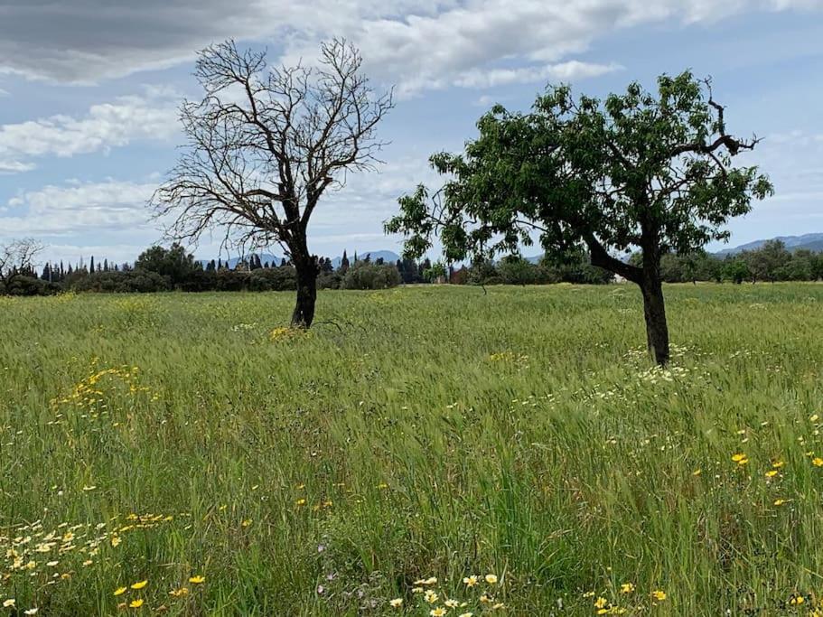 Stunning Country With Panoramic Mountain Views * Biniali (Majorca)