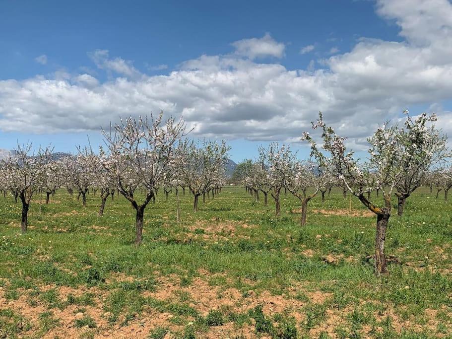 Stunning Country With Panoramic Mountain Views