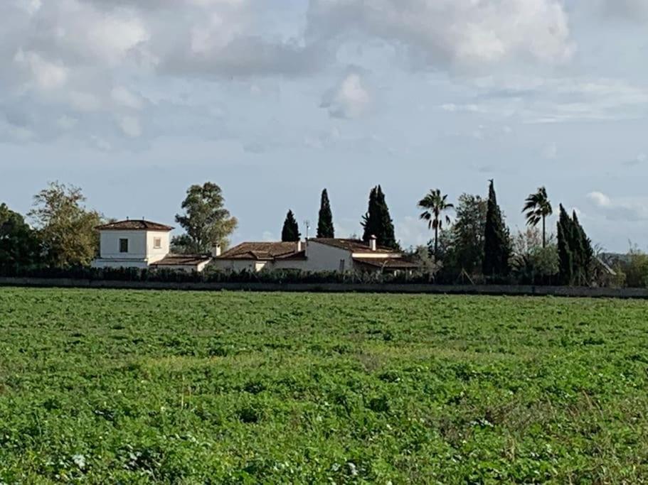 Villa Stunning Country With Panoramic Mountain Views Biniali (Majorca)