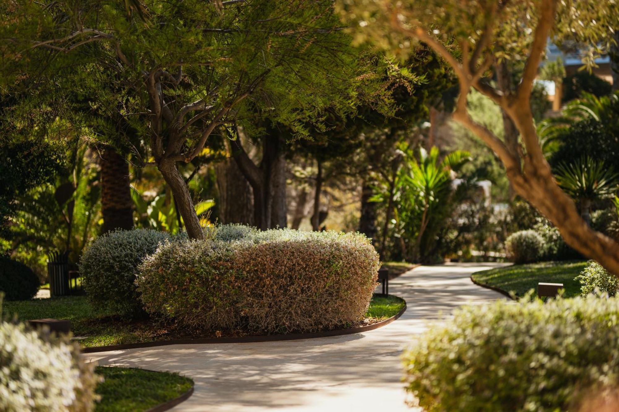 Hotel Secrets Mallorca Villamil & - Adults Only