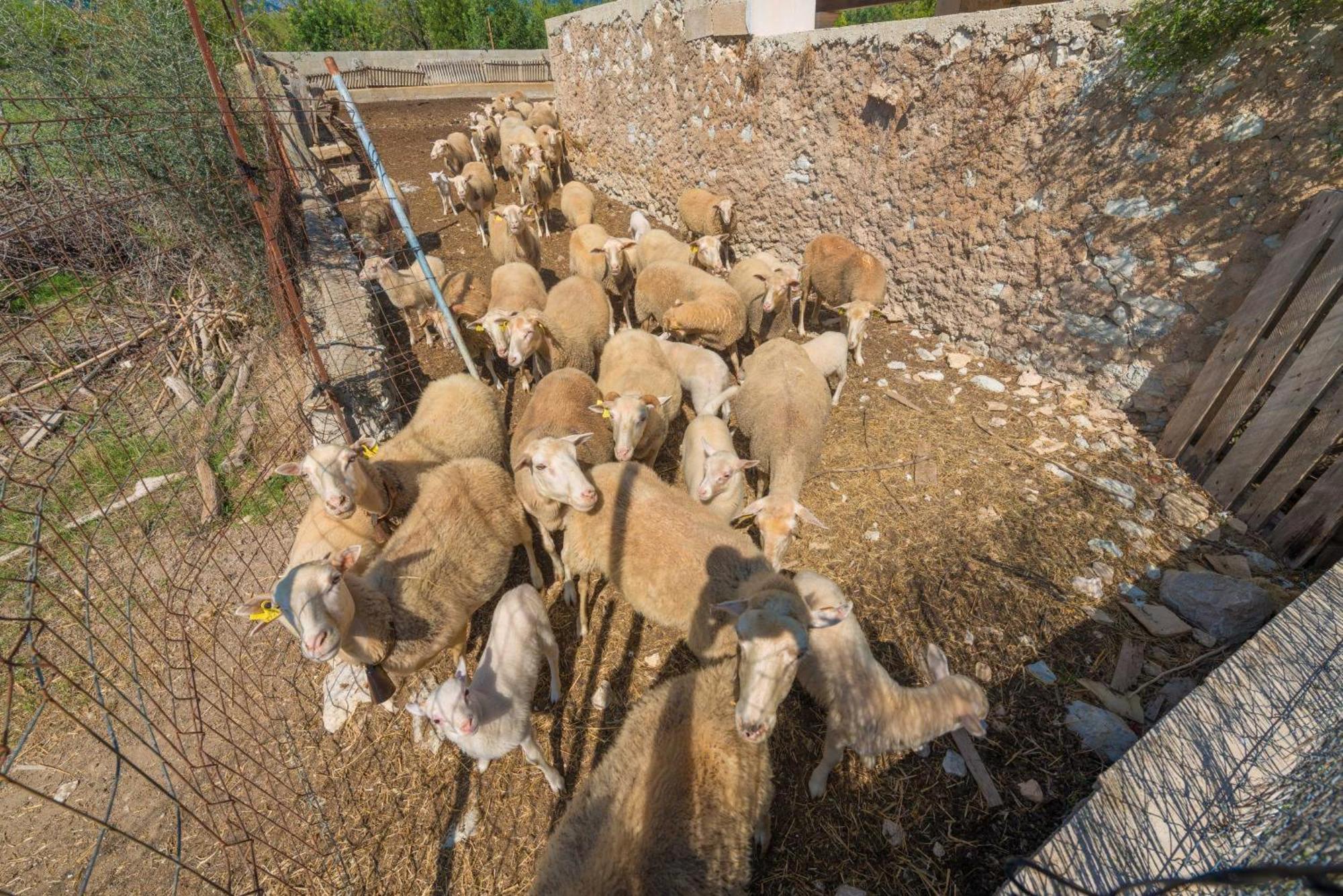 Granja Villa