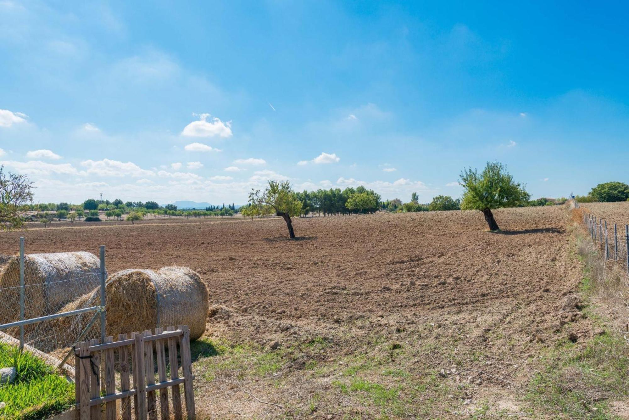 Granja Villa Inca (Mallorca)