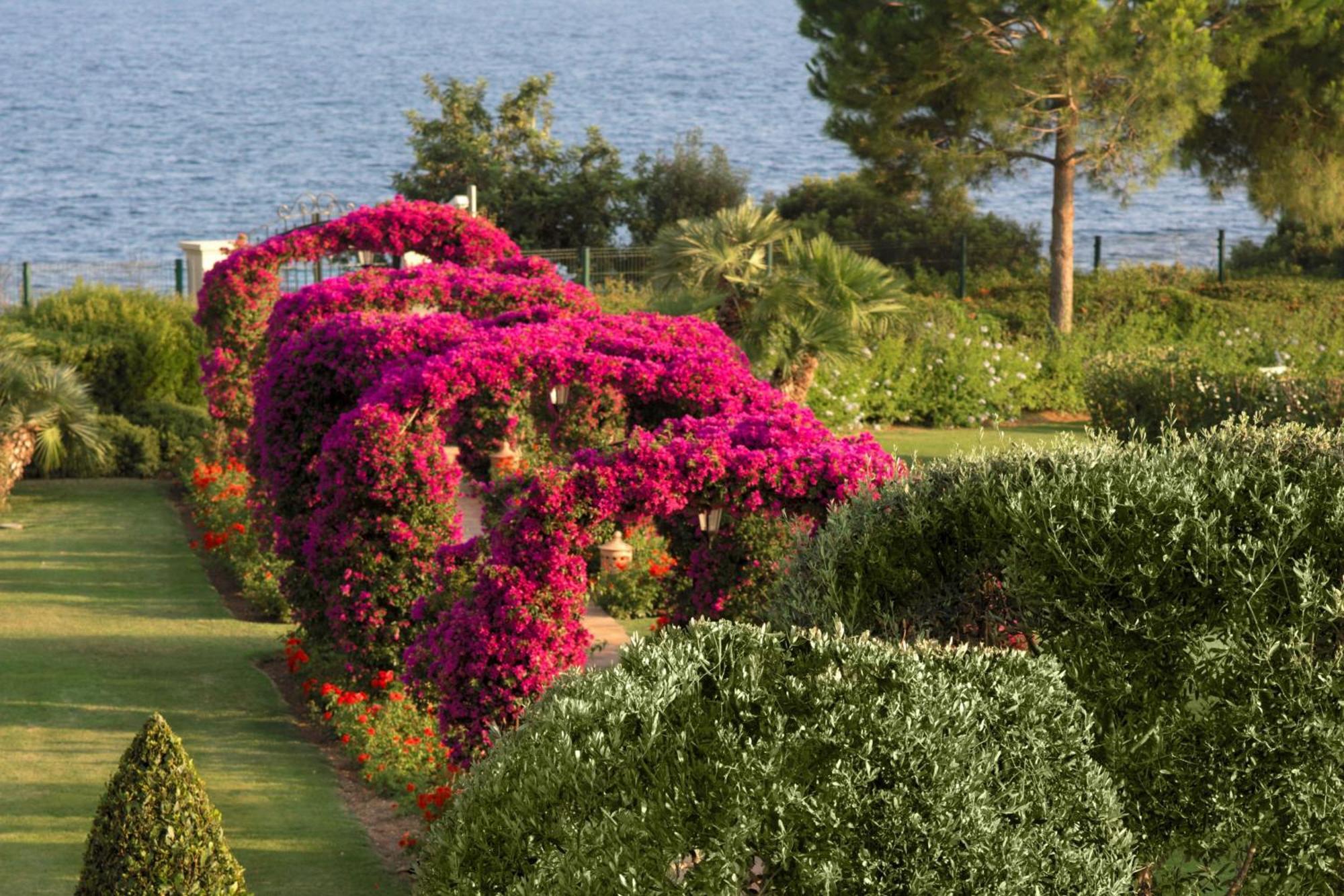 Resort The St. Regis Mardavall Mallorca 5*