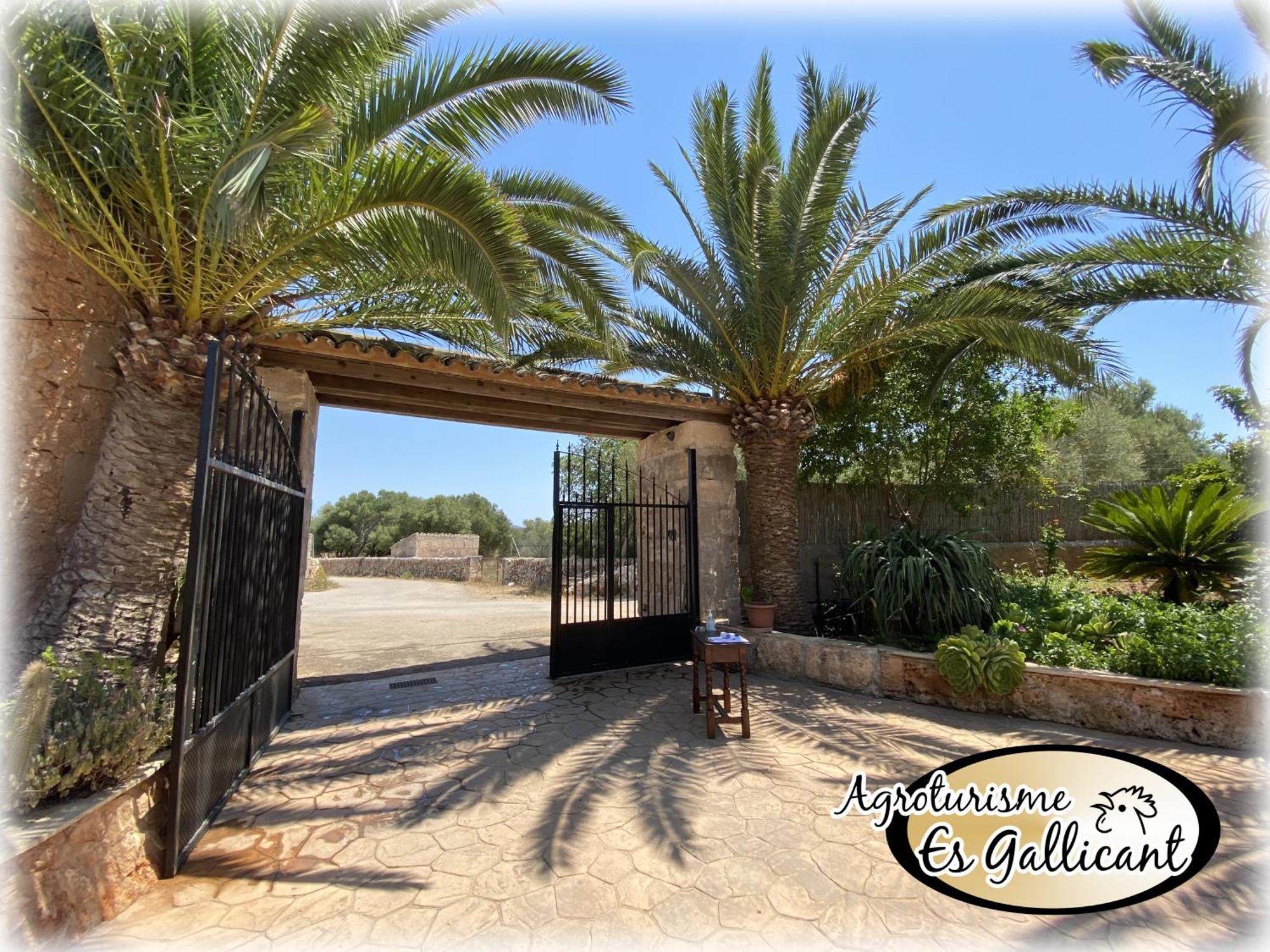 Agroturismo Es Gallicant