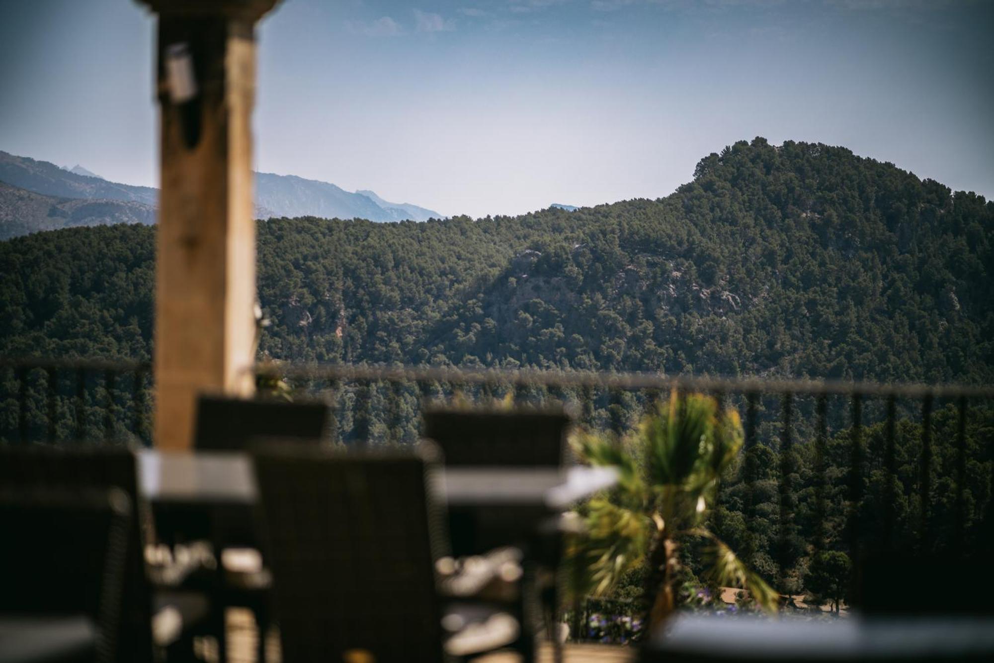 Hotel Del Marques
