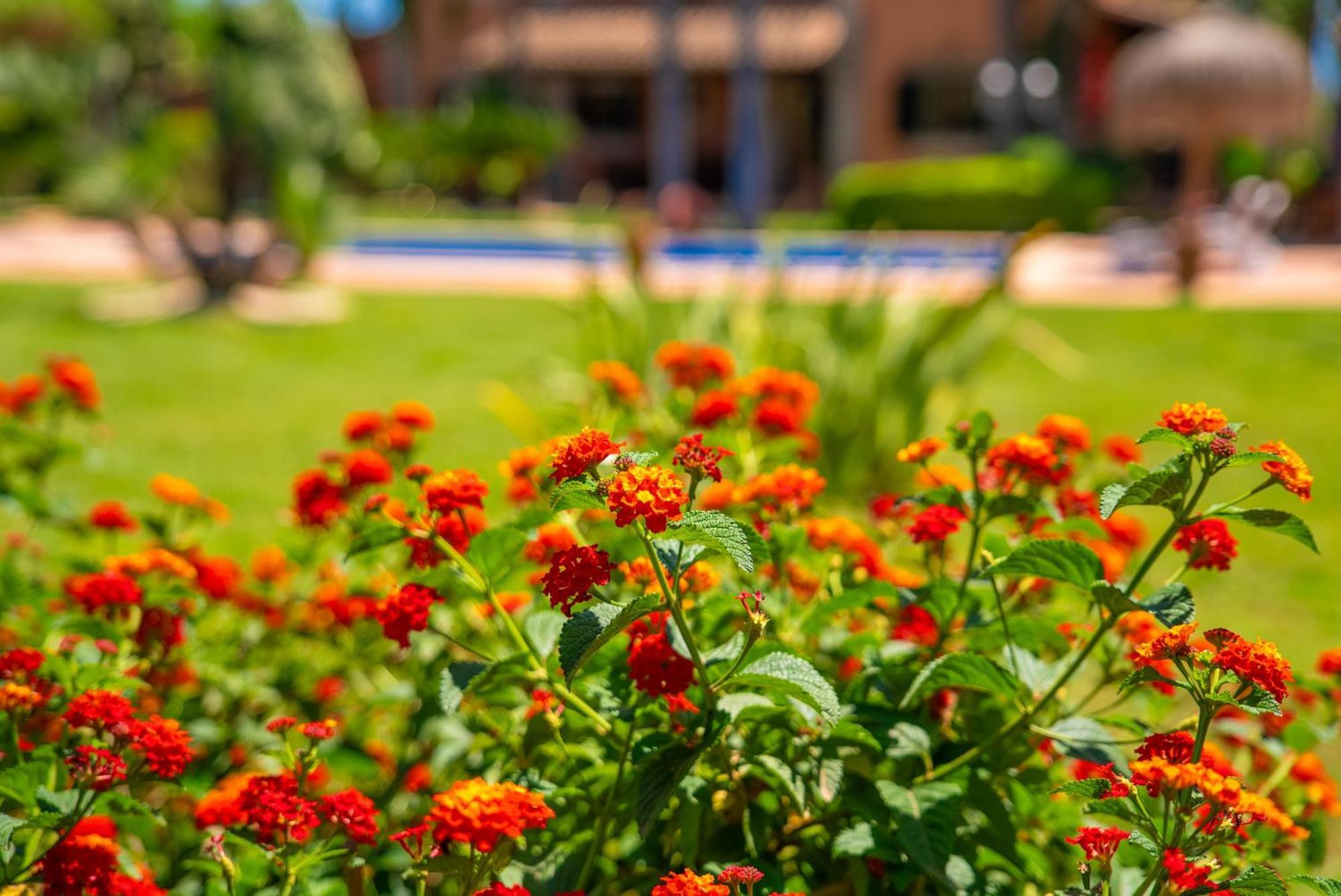 Mil Flores Holiday home