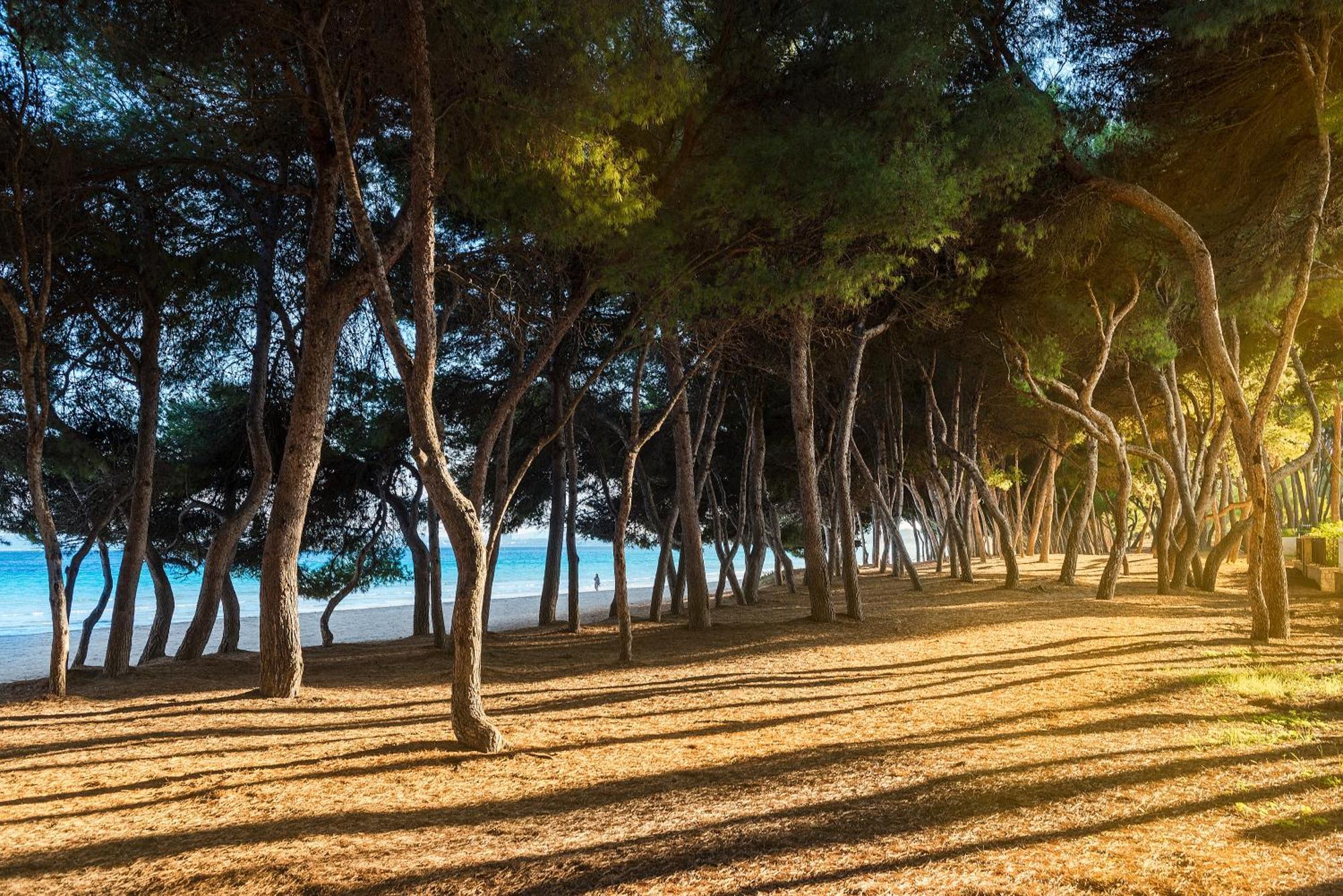 Mediterrania I Mallorca - By Emerald Villa