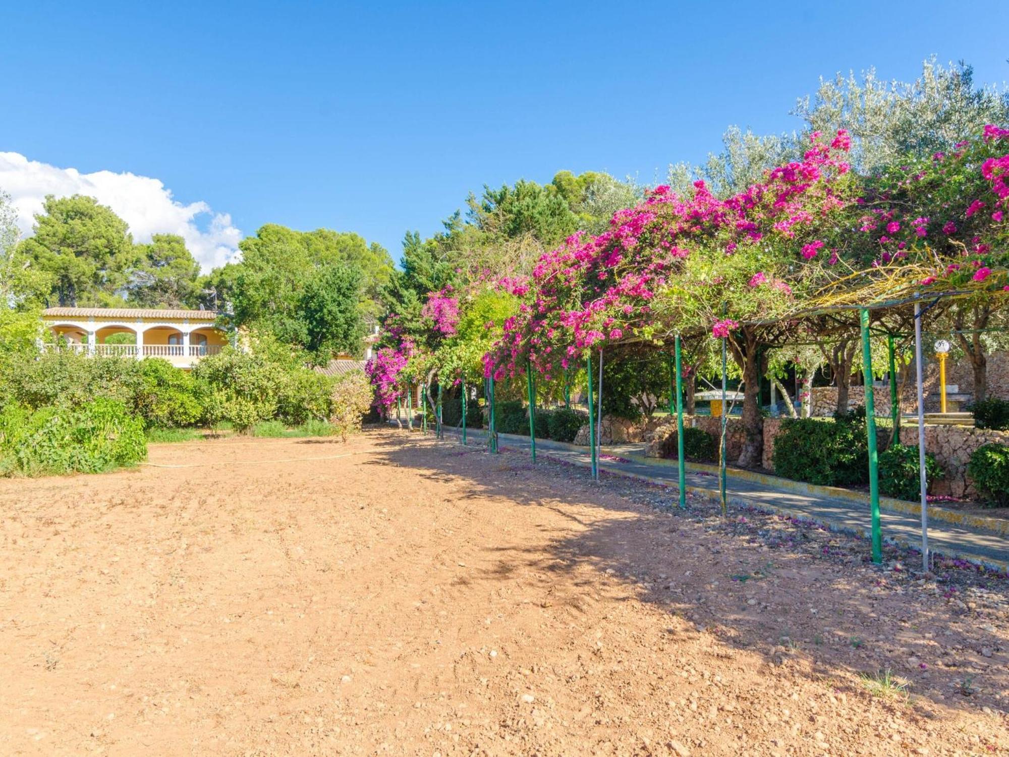 Villa Son Pou - With Private Pool Free Wifi *