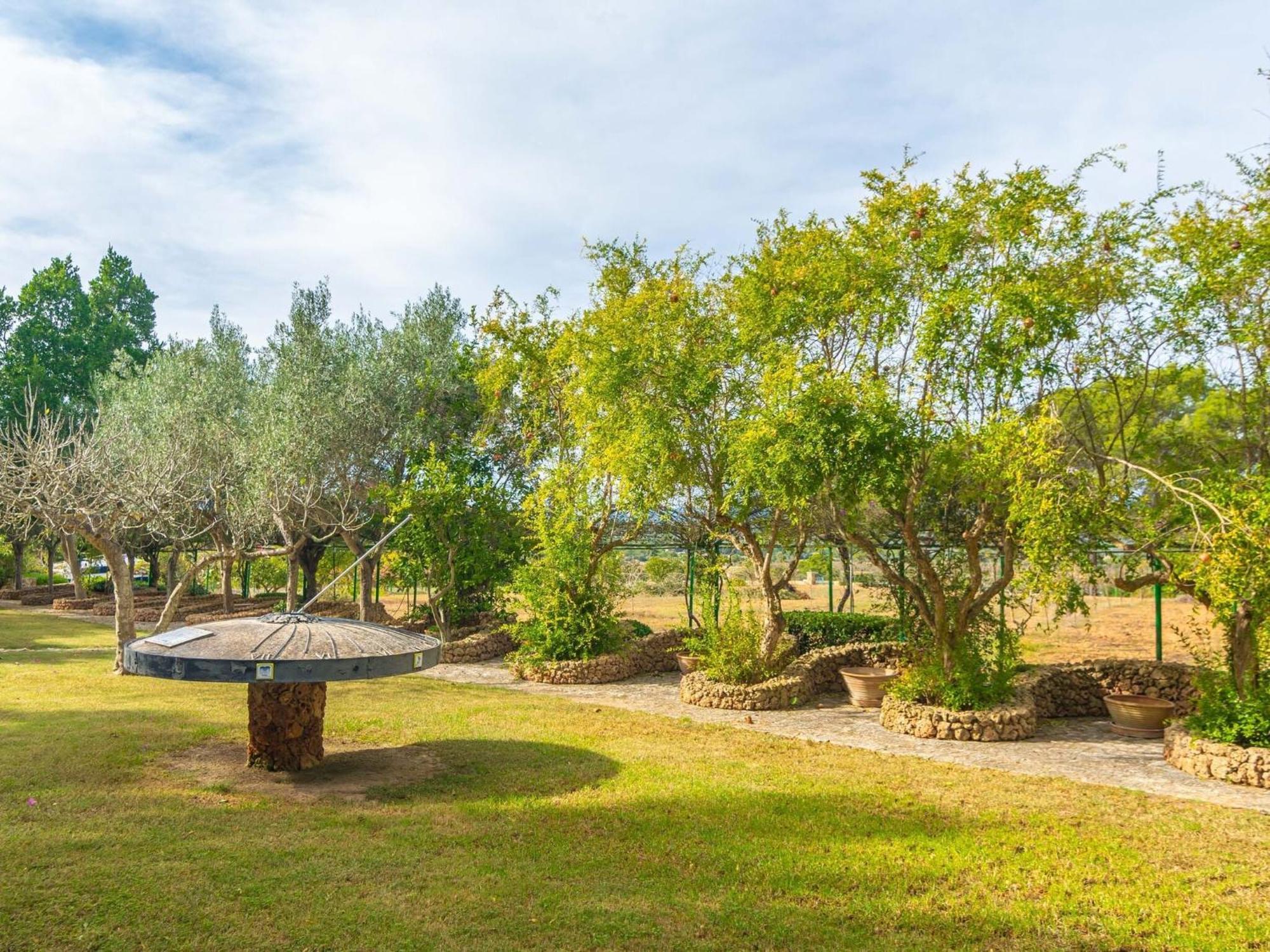 Son Pou - With Private Pool Free Wifi * Son Gual
