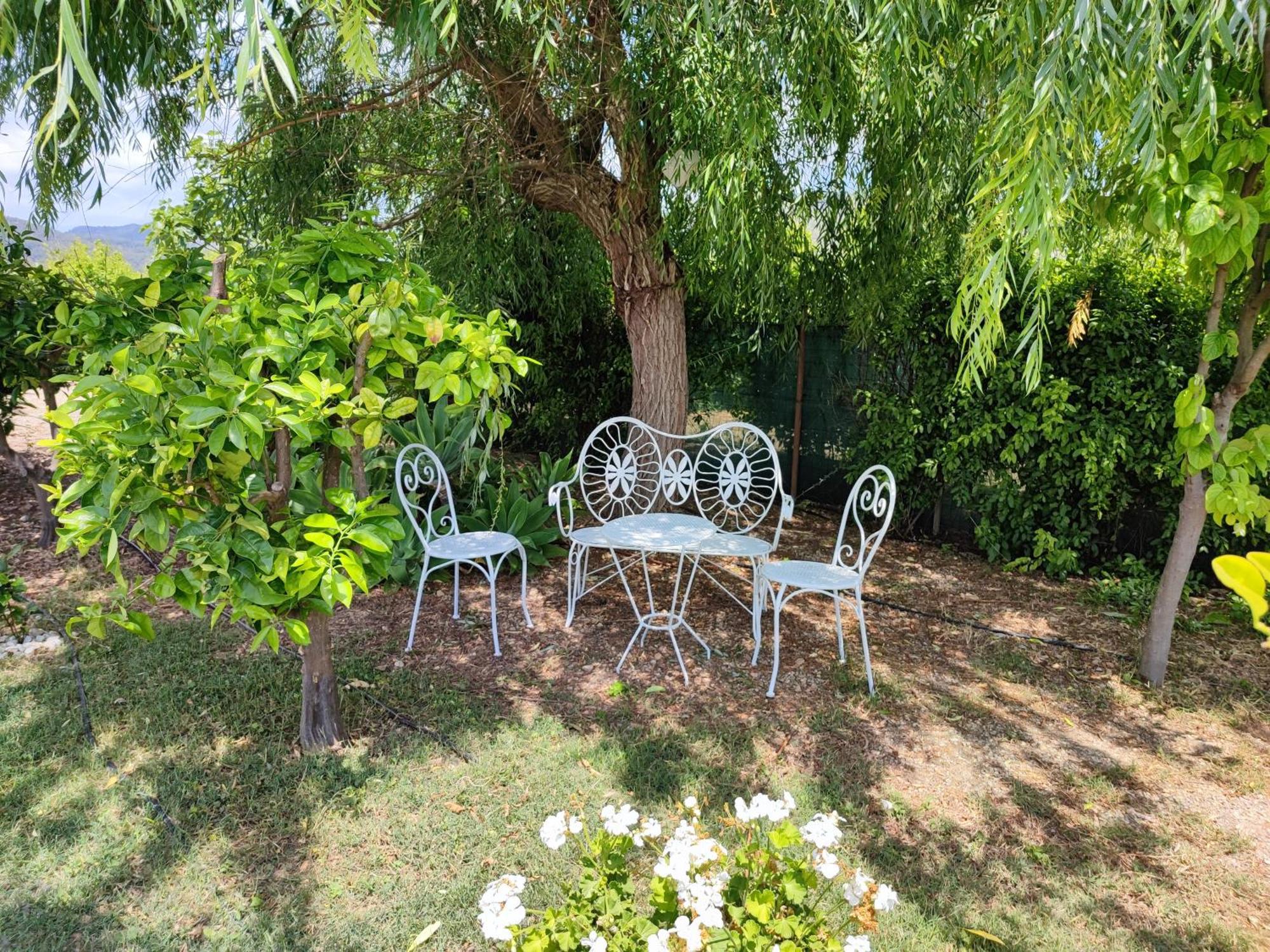 Els Tarongers Perfect For Families Or Friends Holiday home