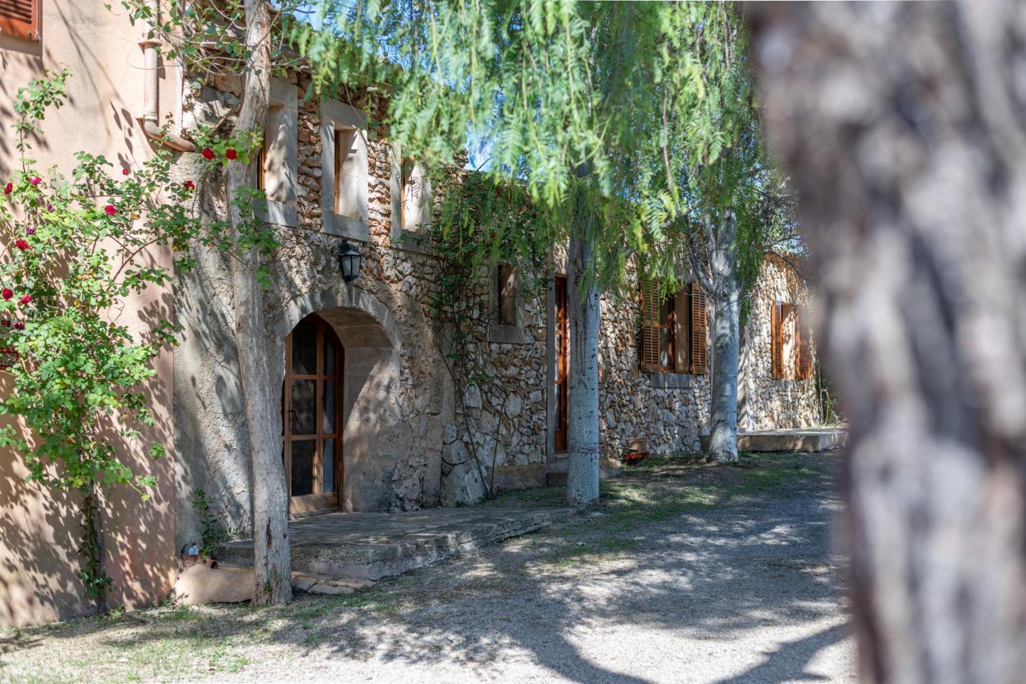 Villa Rito Fenalitx (Fenalich)
