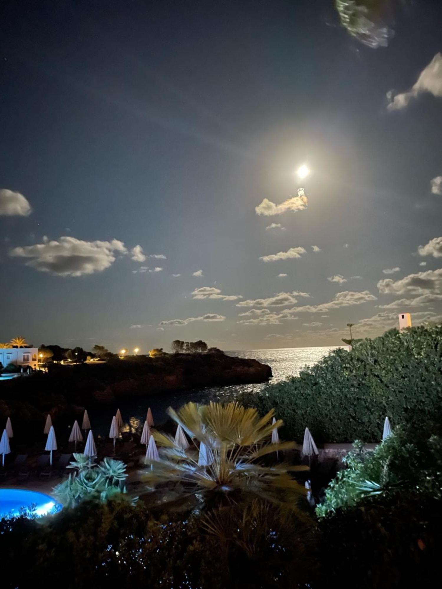 Apartamento Playa D'or 16 / / Mallorca