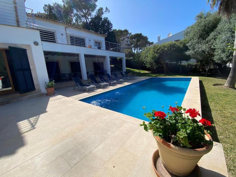 5 Bedroom With Pool Puerto Pollenca Majorca *