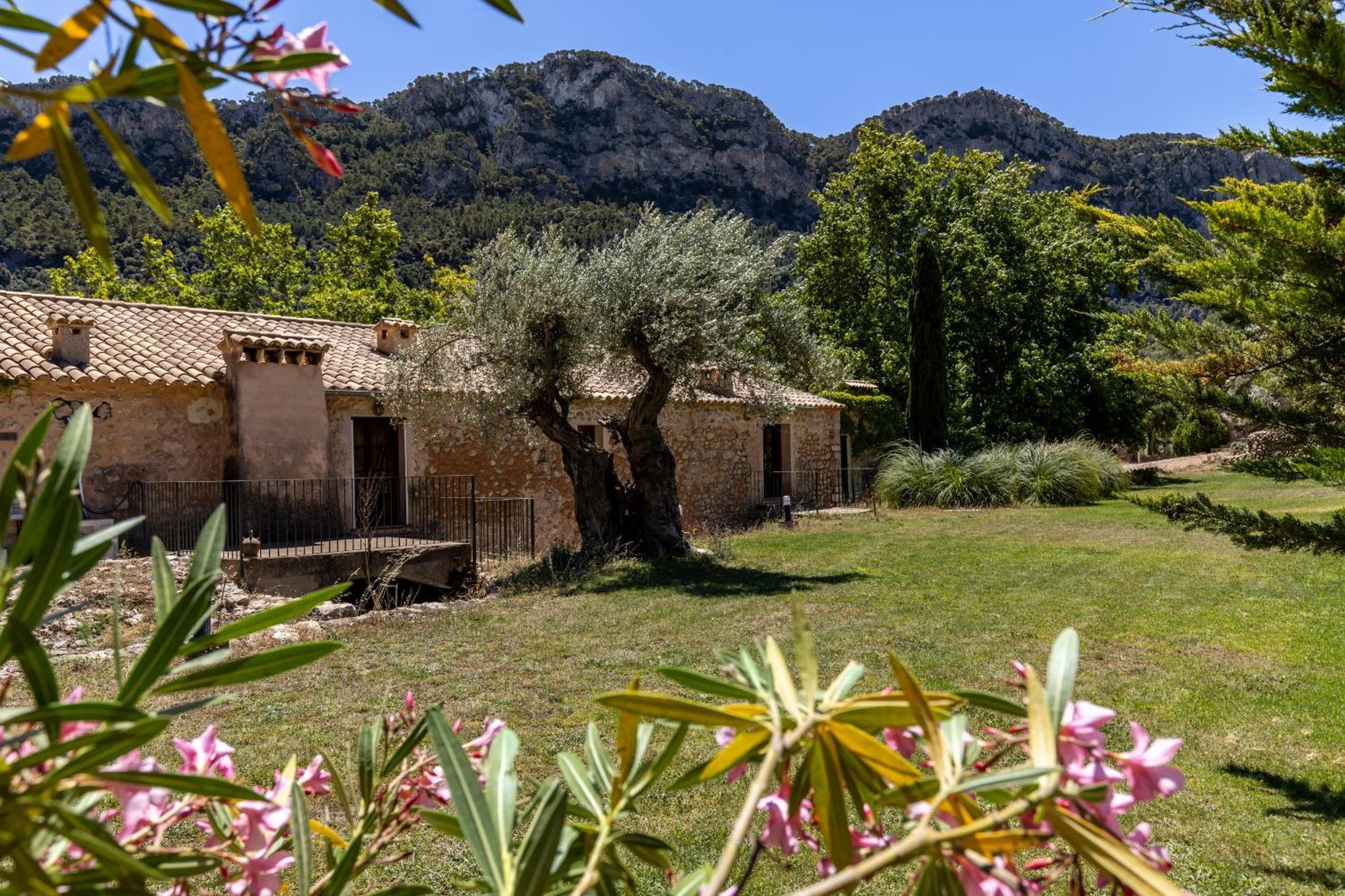 Honor - Rustic For 16 People Villa Bunyola (Buñola)