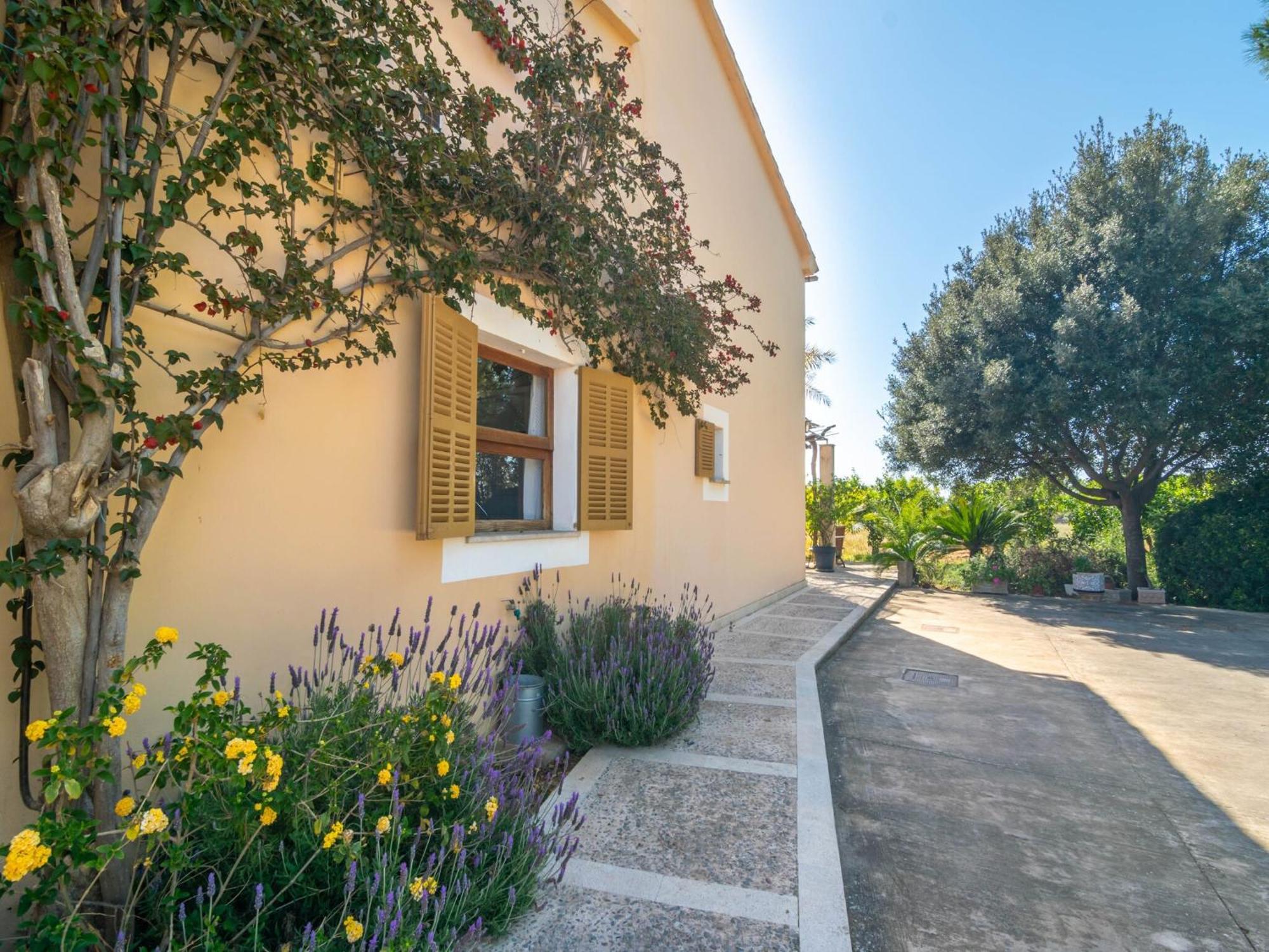 Villa Pilos - In Free Wifi *