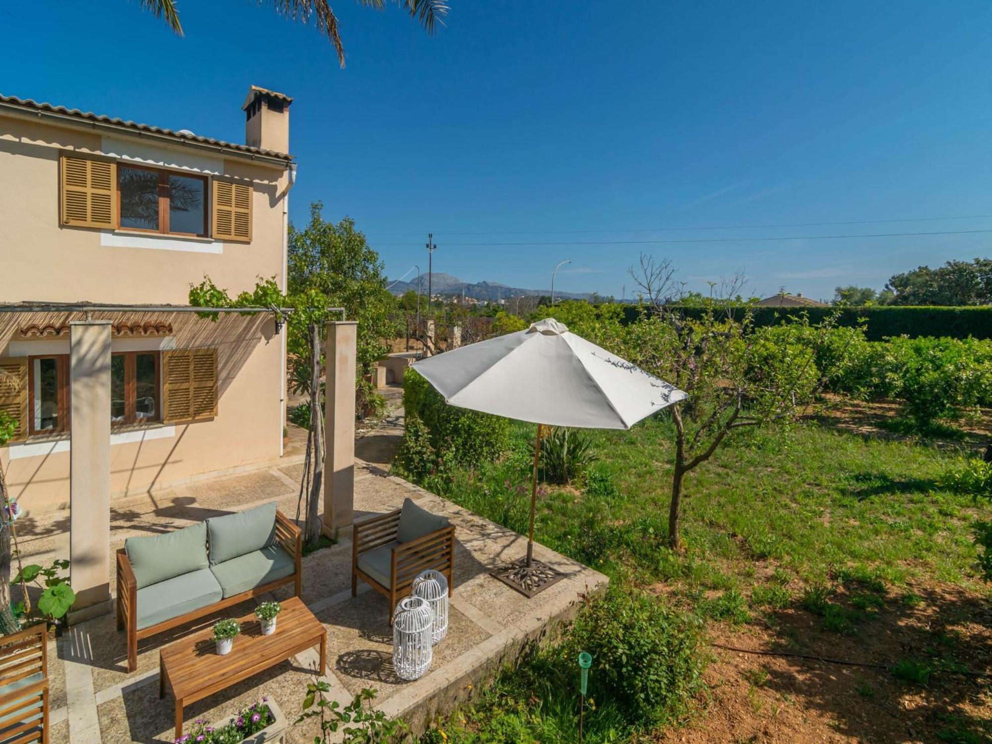 Pilos - In Free Wifi * Inca (Mallorca)