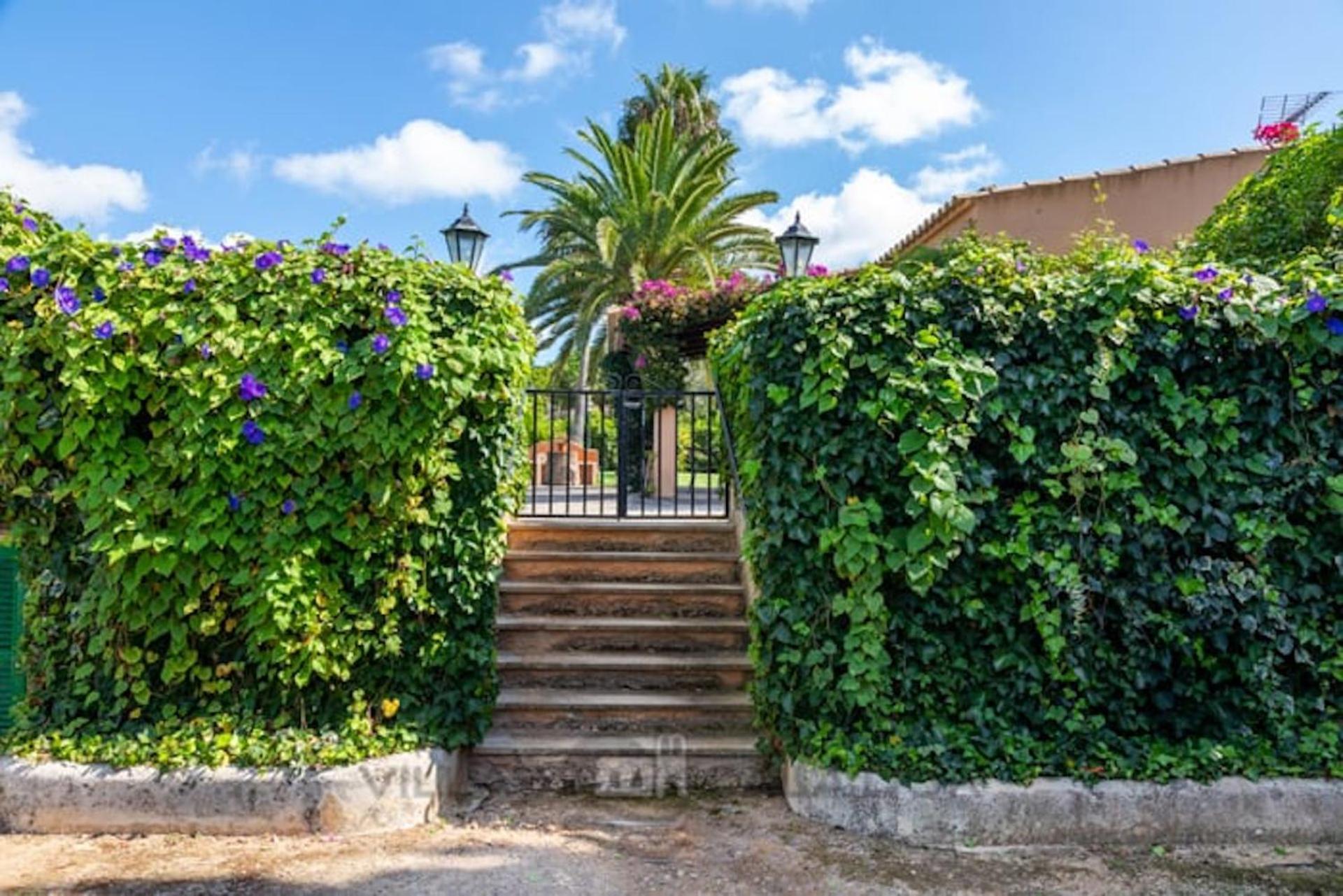 Villa Jaume Des Carritxo