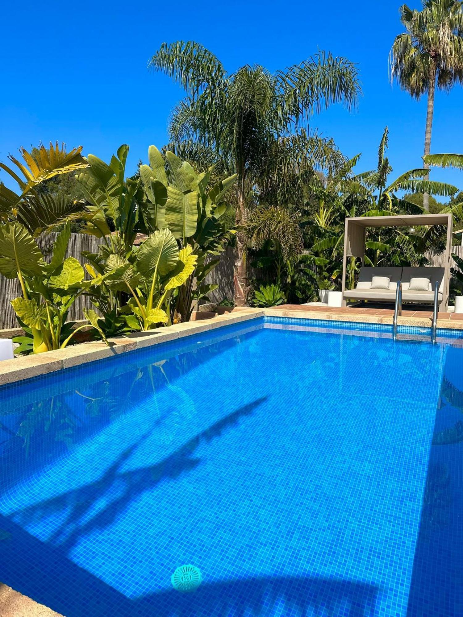Bonaire House Holiday home *