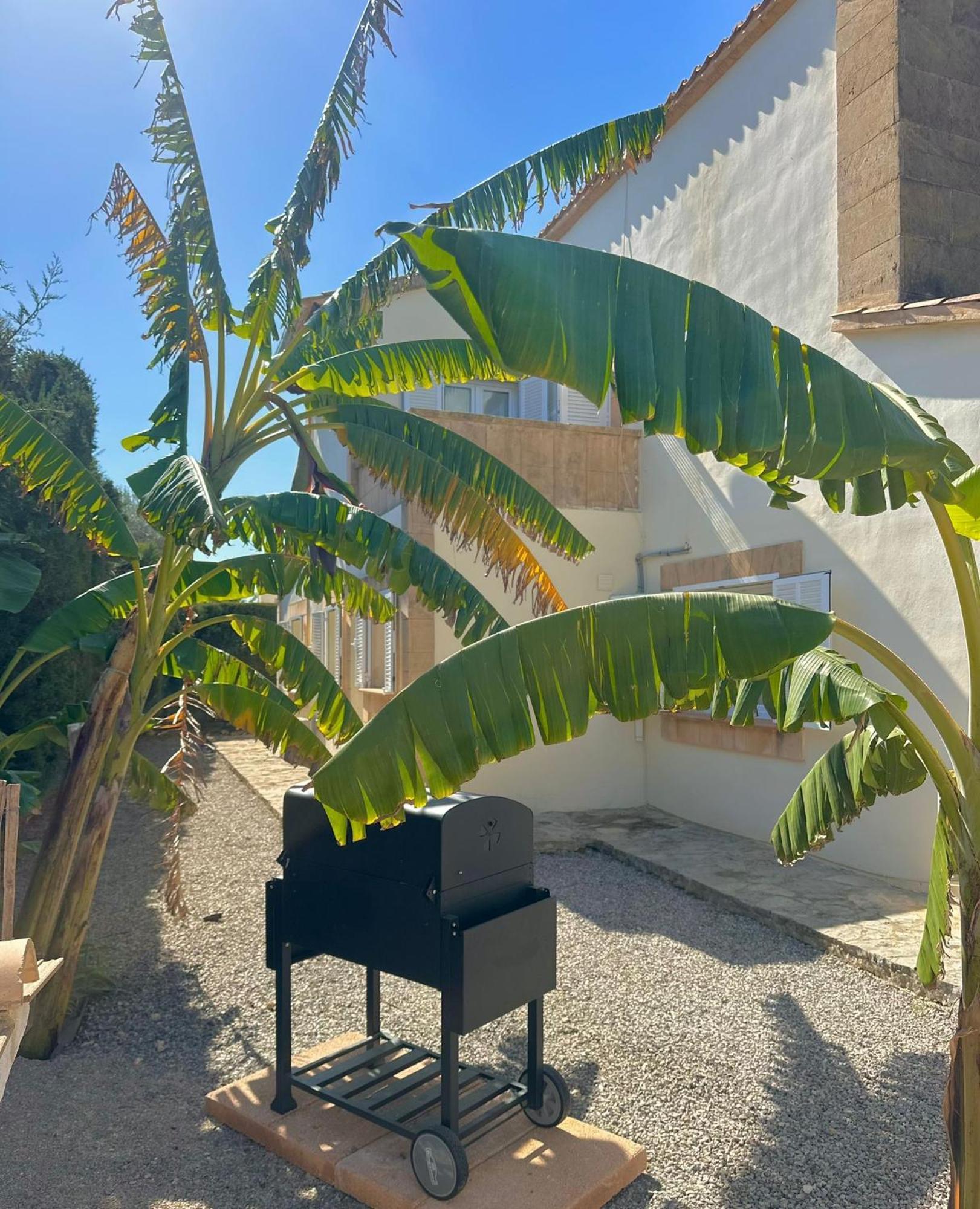 Bonaire House * Alcudia (Mallorca)