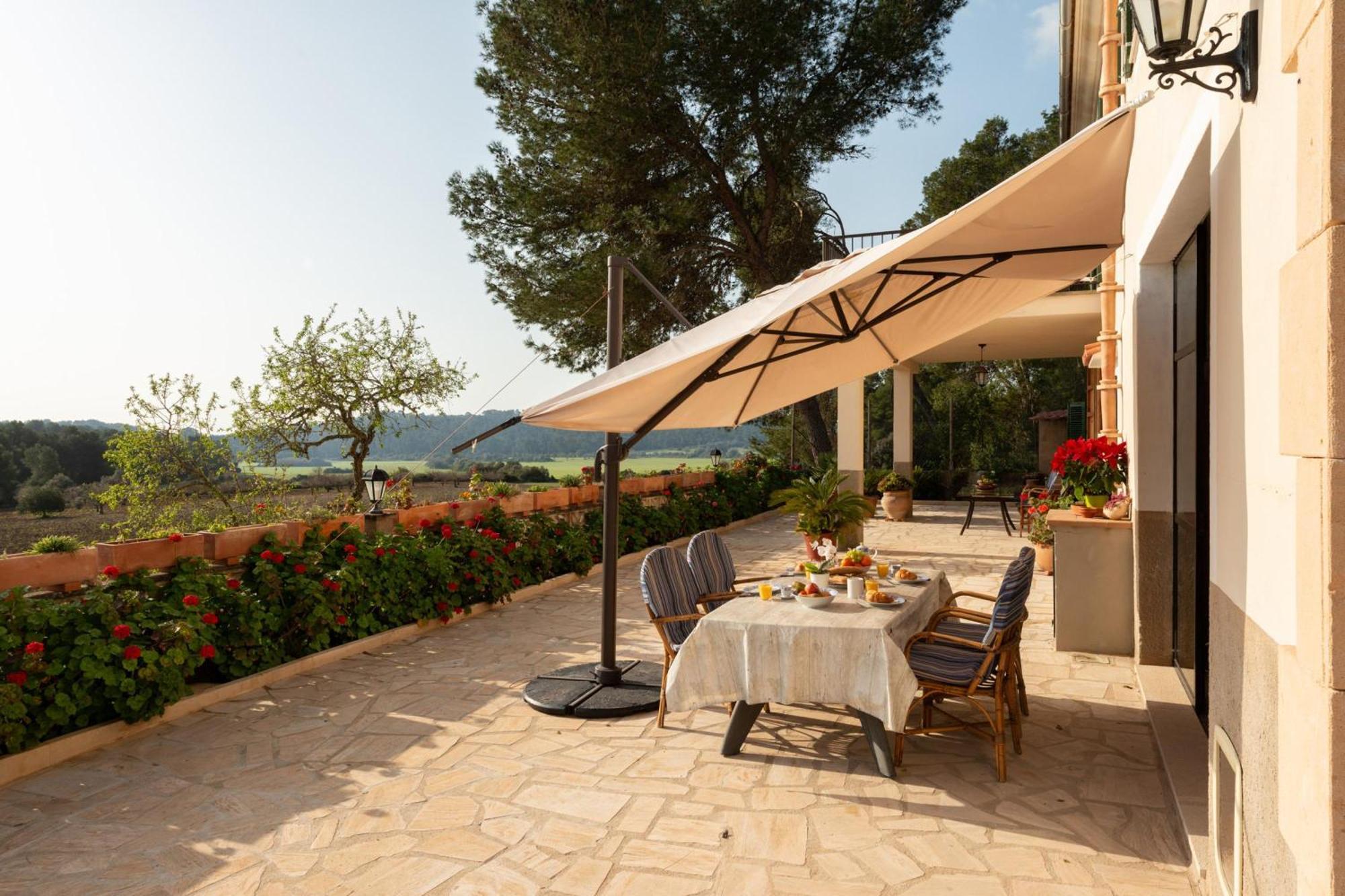 Eco Alegria With Pool - Happy Villa *