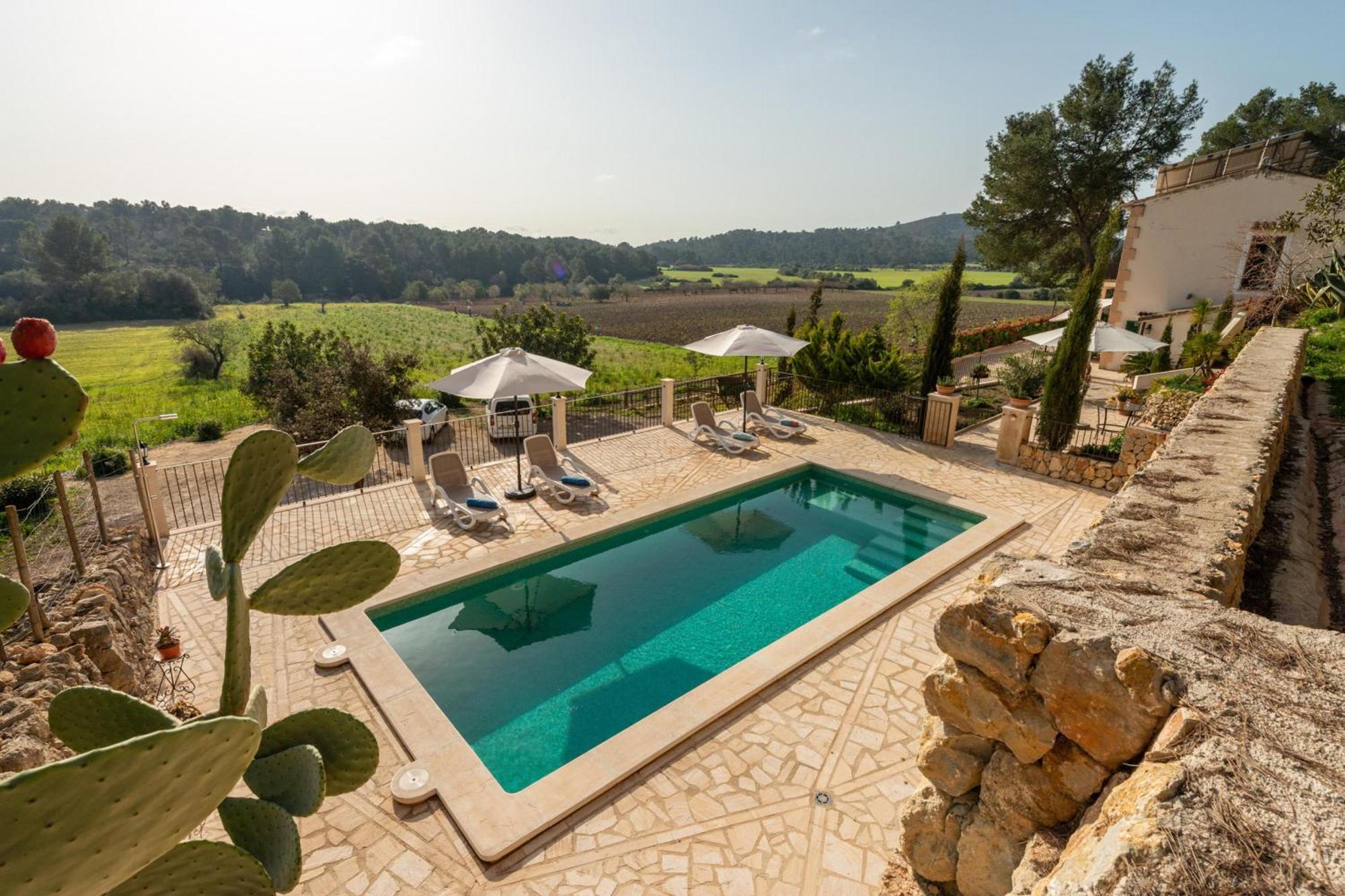 Eco Alegria With Pool - Happy *