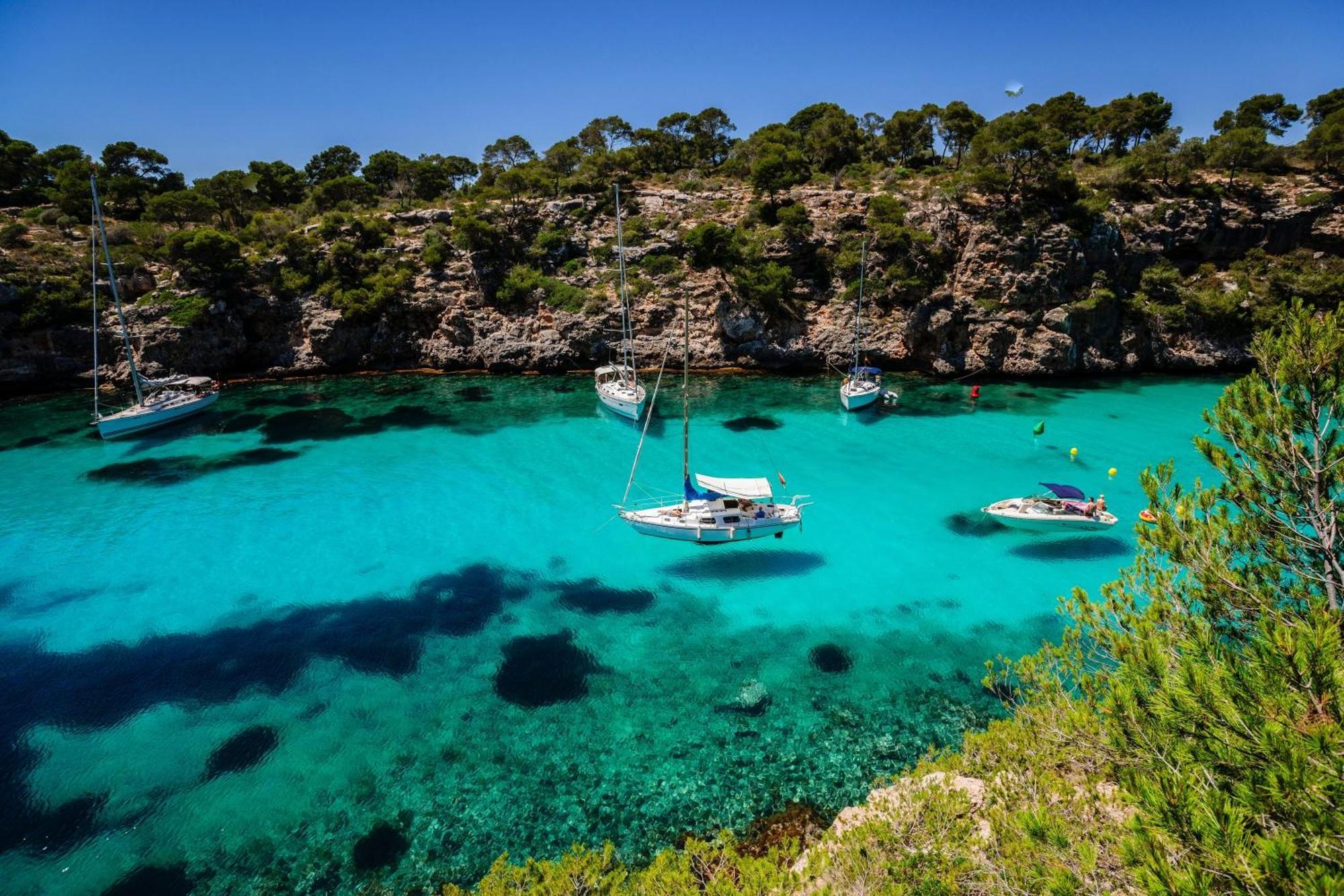 Eco Alegria * Llucmajor (Mallorca)