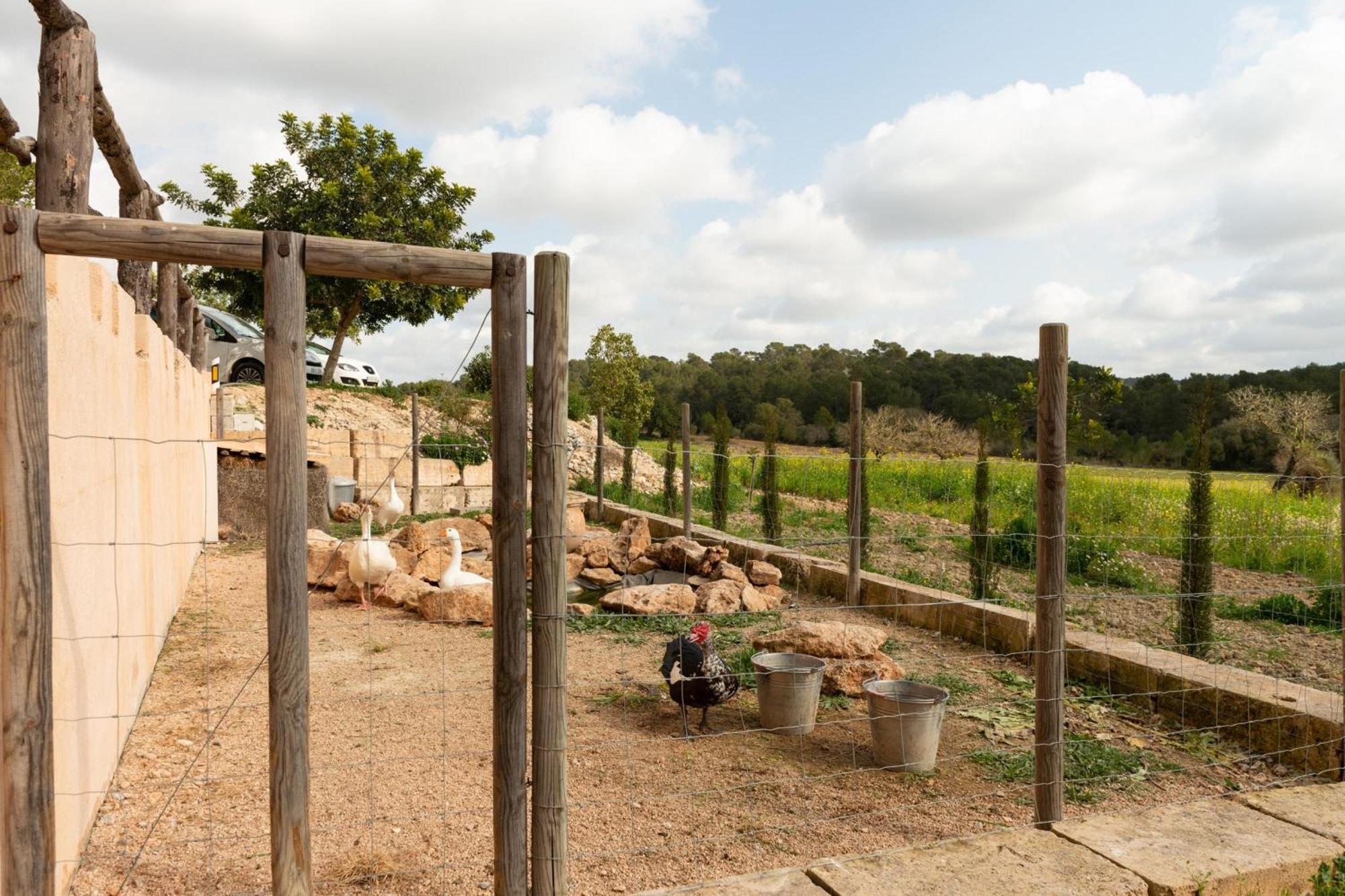 Eco Alegria Villa Llucmajor (Mallorca)