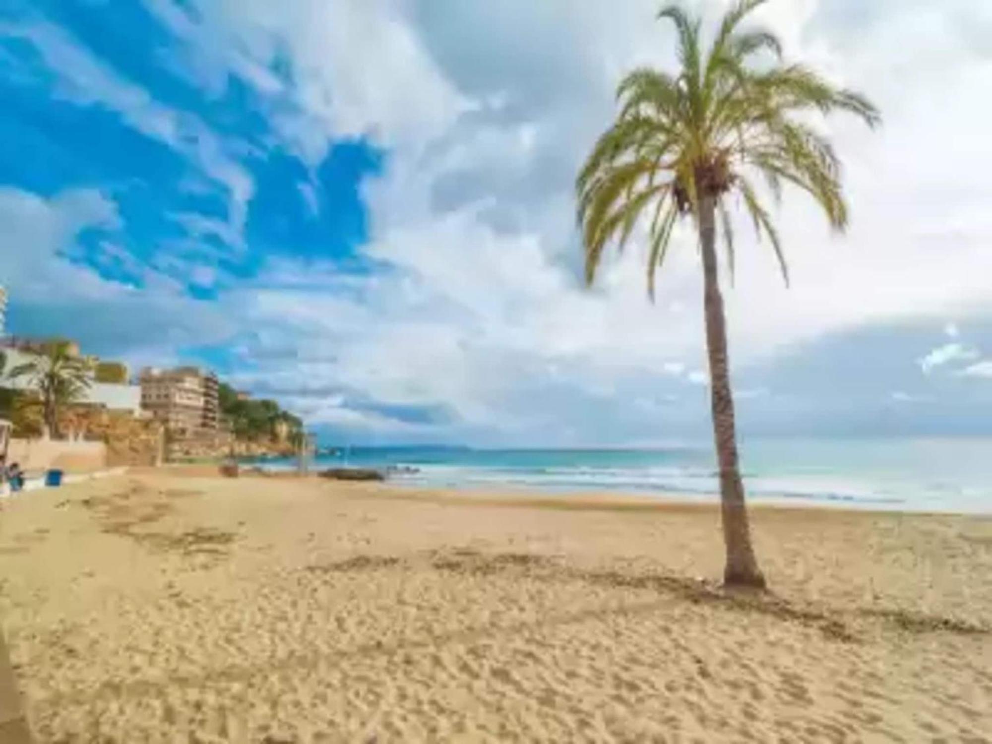 Ocean View With Private Pool Portals Nous (Mallorca)