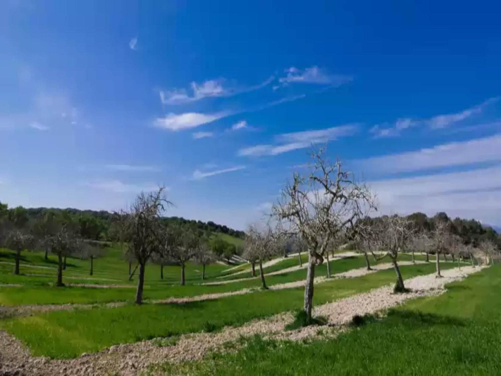 Son Vanrell-villa With Private Pool In