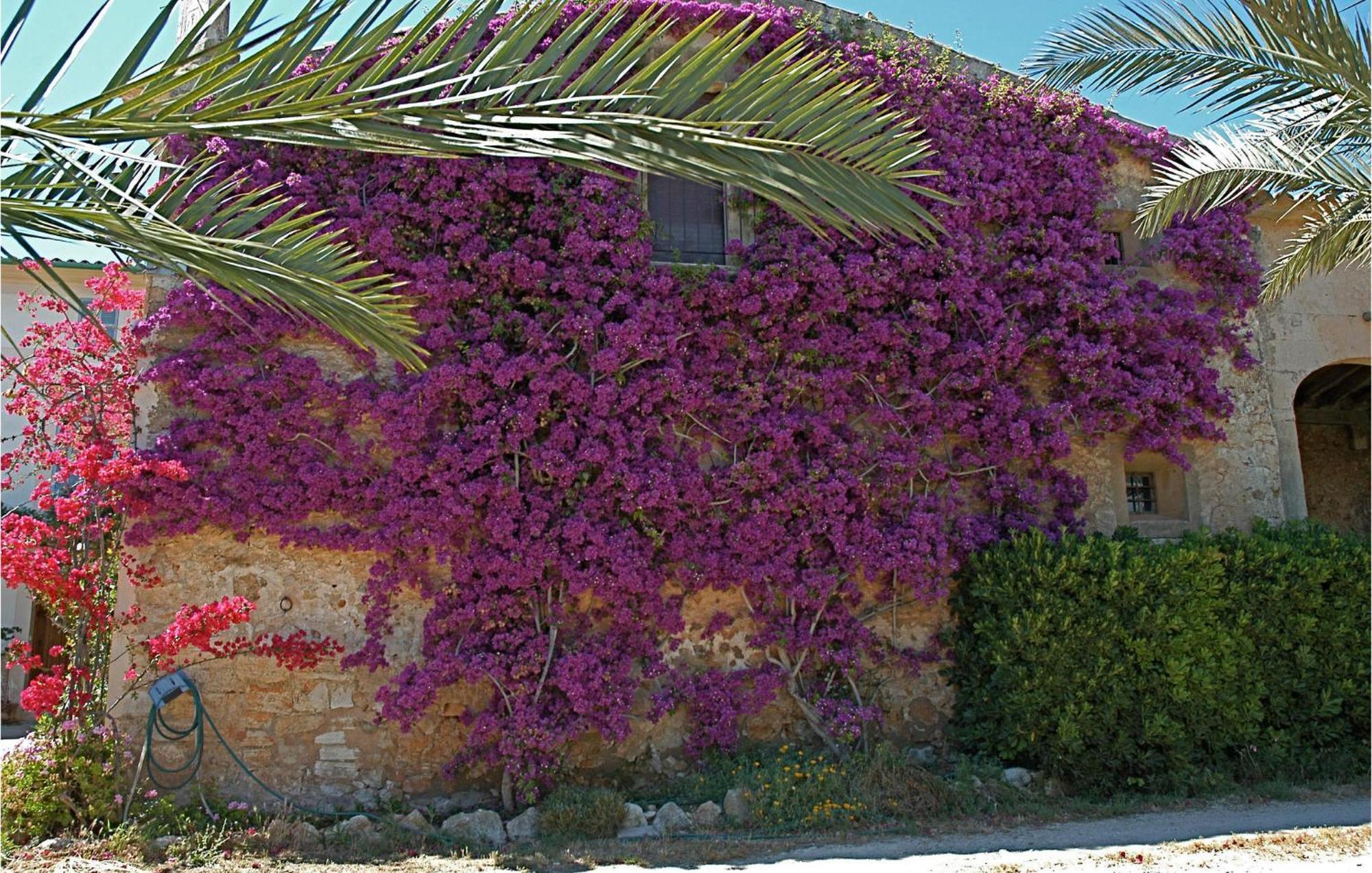 Lovely In * Porreras