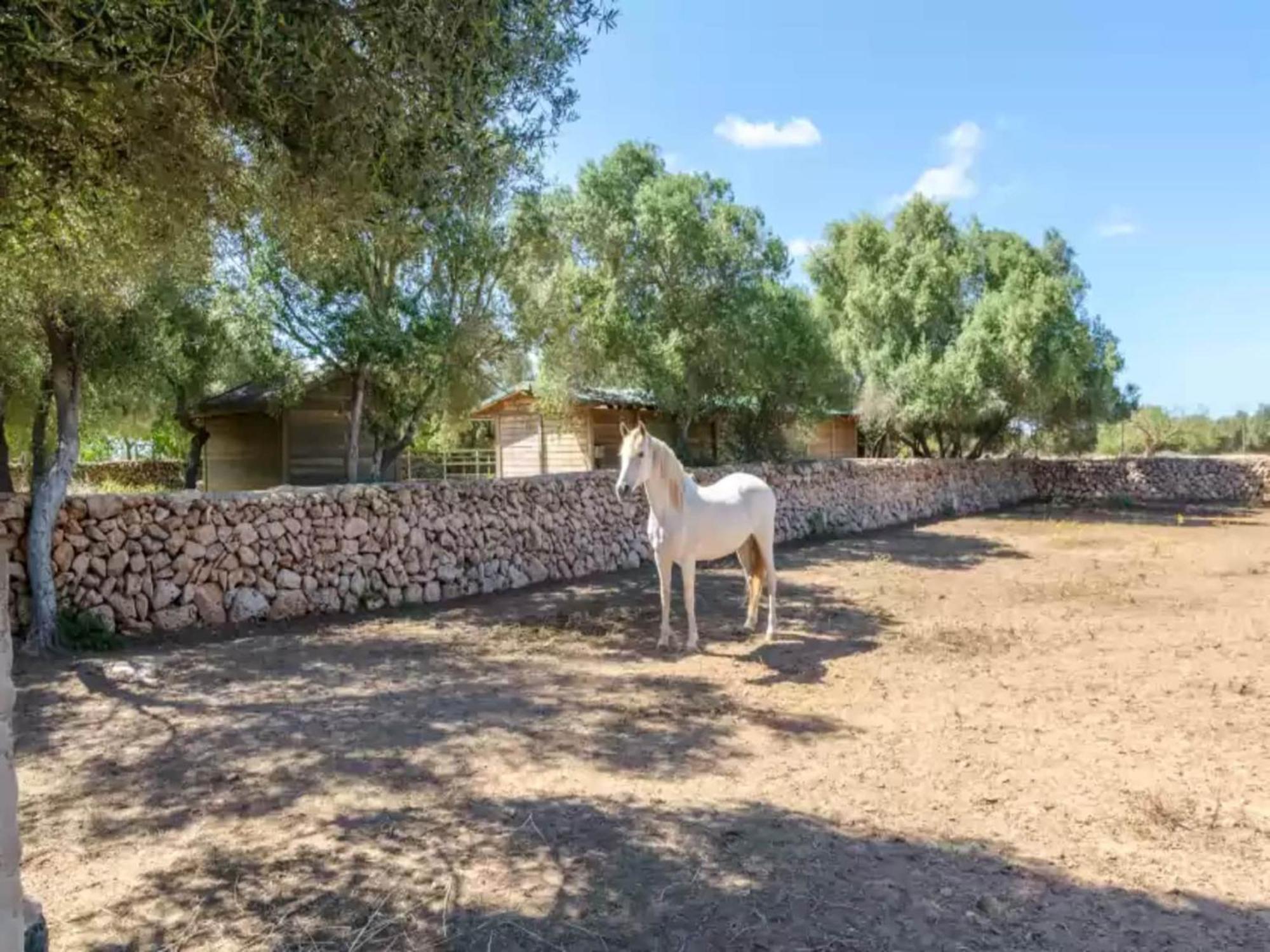 With Private Pool In