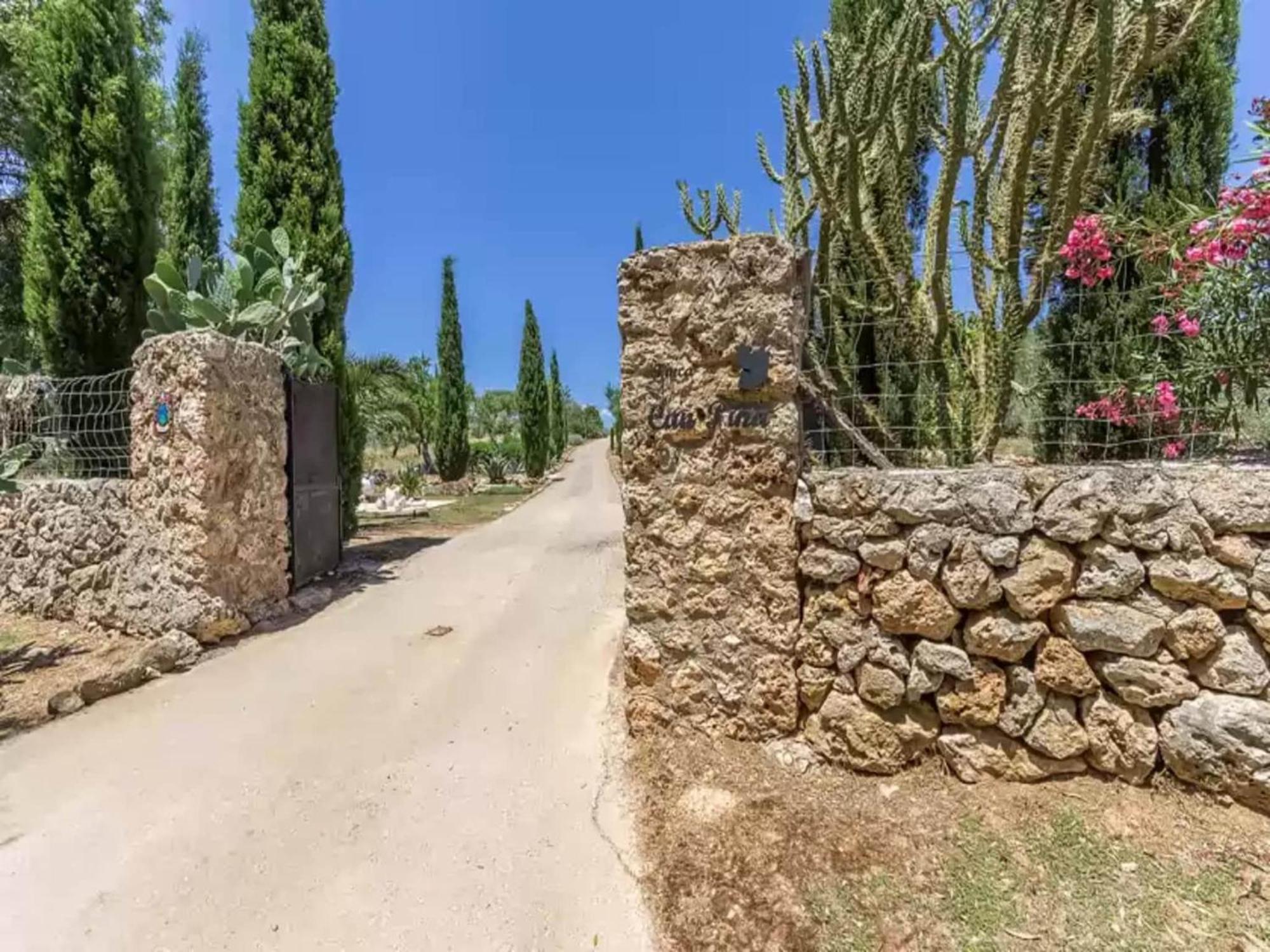 Pina - Eco Pina-apartment In Villa Costitx (Mallorca)