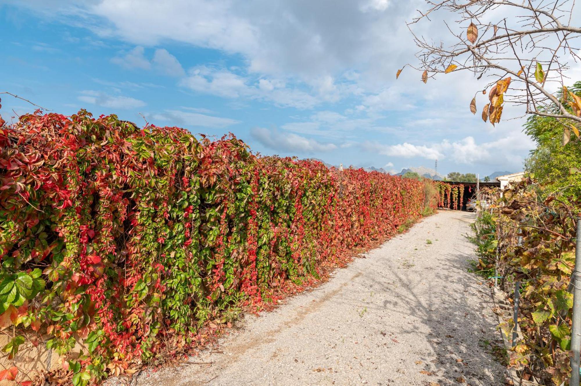 Villa Fiol Petit By Sealand