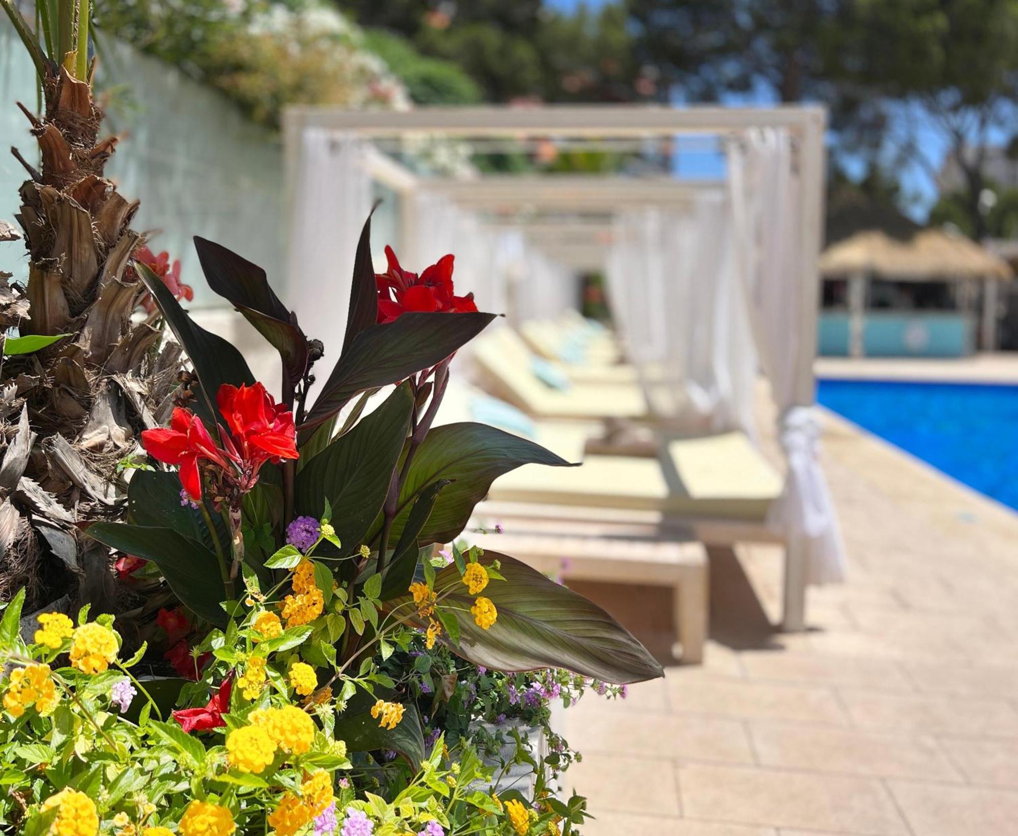 Apartamento Mallorca Magaluf (Mallorca)