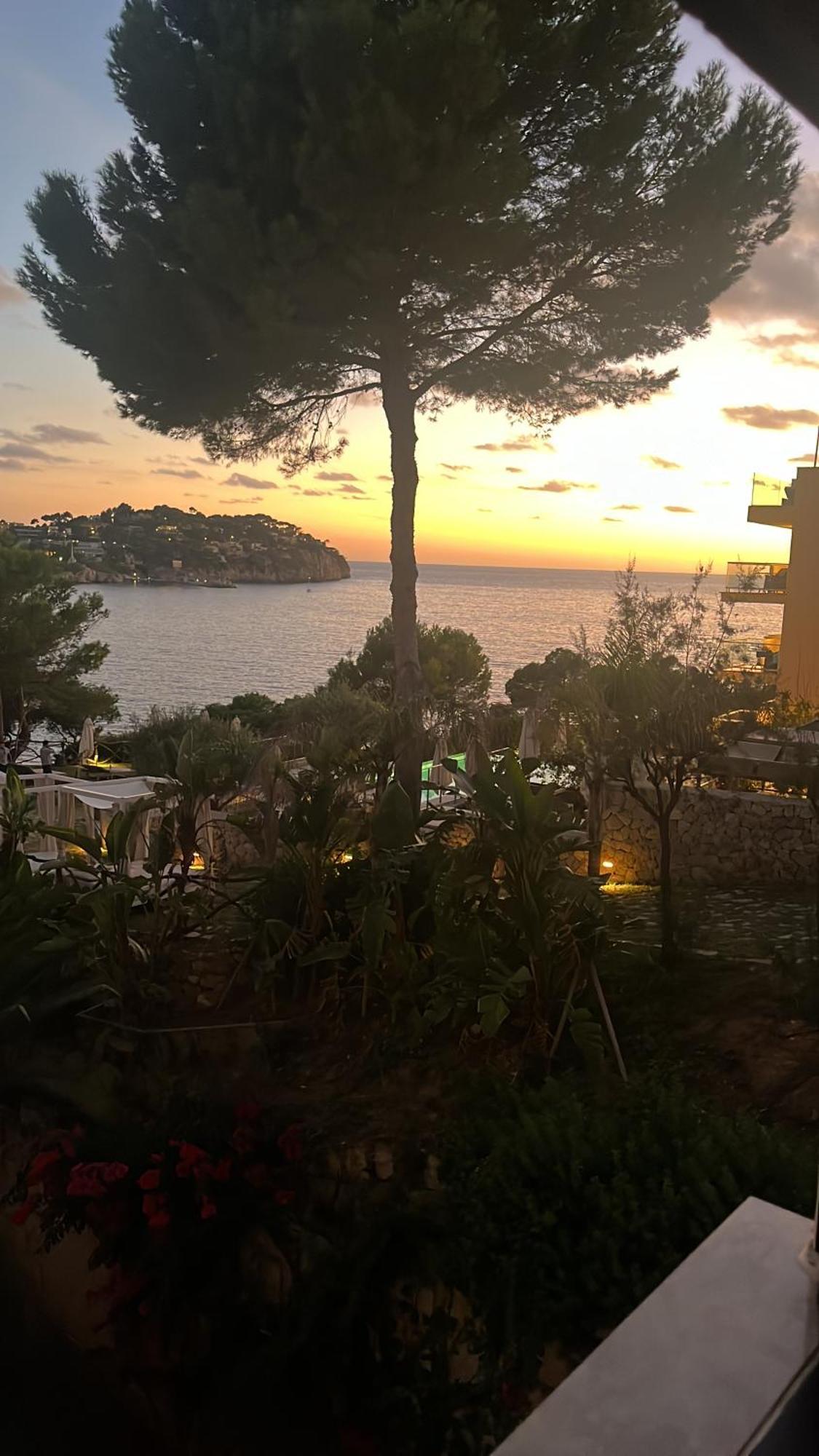 Peace & Nature * Costa De La Calma