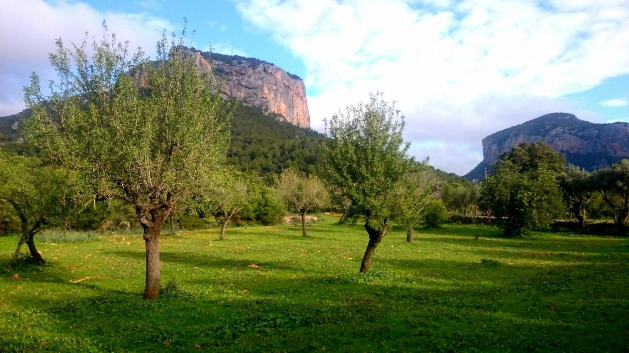 Ca Na Carme