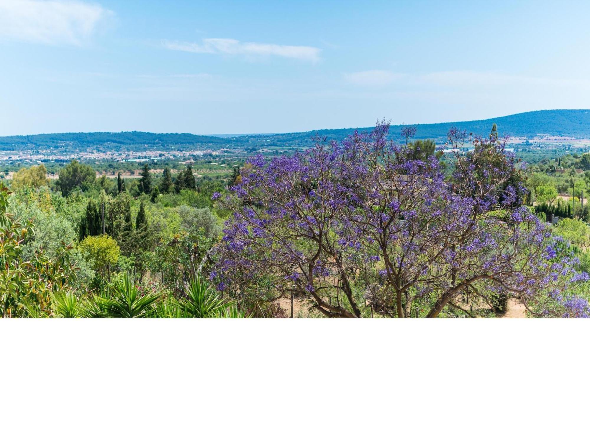 Villa Es Pinar - With Private Pool In