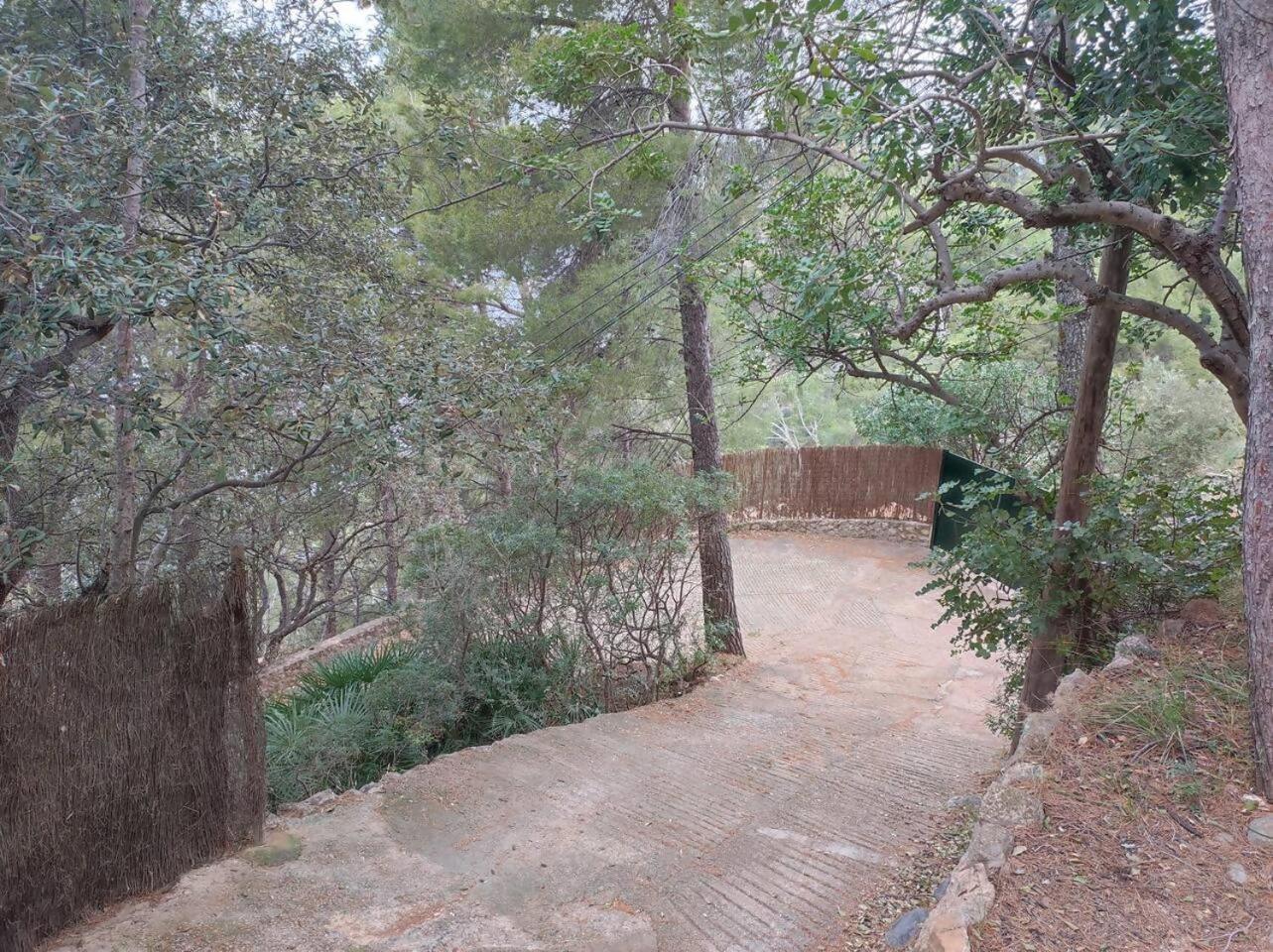 En Primera Línea De Mar Con Amplia Terraza Villa Bañalbufar (Banyalbufar)