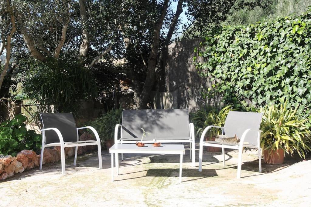 Apartamento Preciosa Finca Rustica Con Piscina Privada Capdepera (Mallorca)