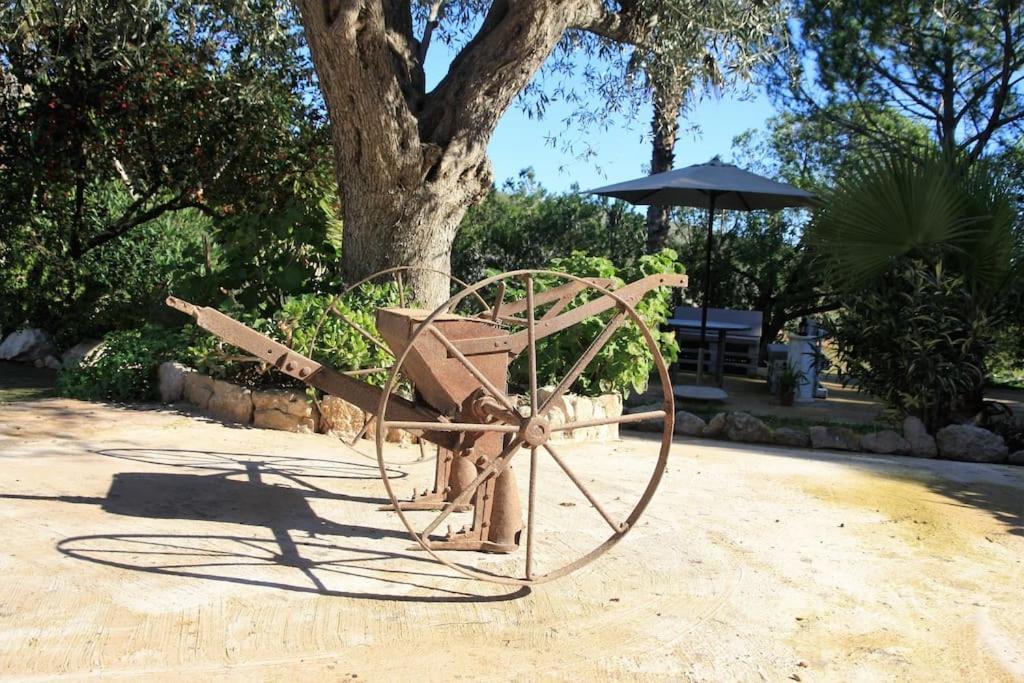 Preciosa Finca Rustica Con Piscina Privada *