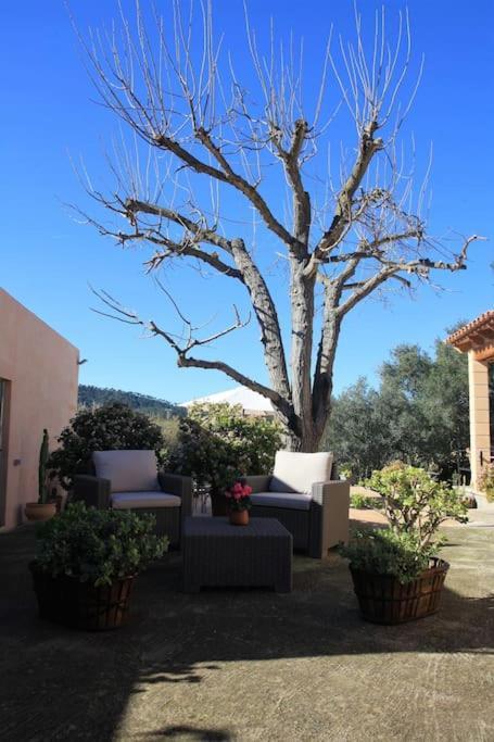 Preciosa Finca Rustica Con Piscina Privada Capdepera (Mallorca)