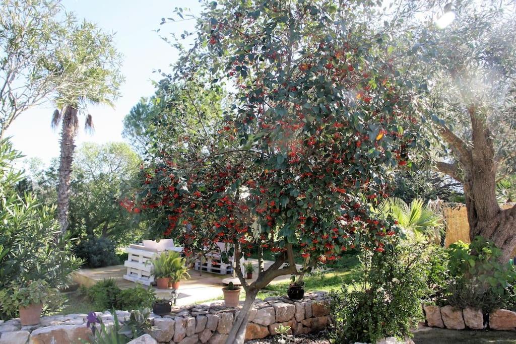 Preciosa Finca Rustica Con Piscina Privada * Capdepera (Mallorca)